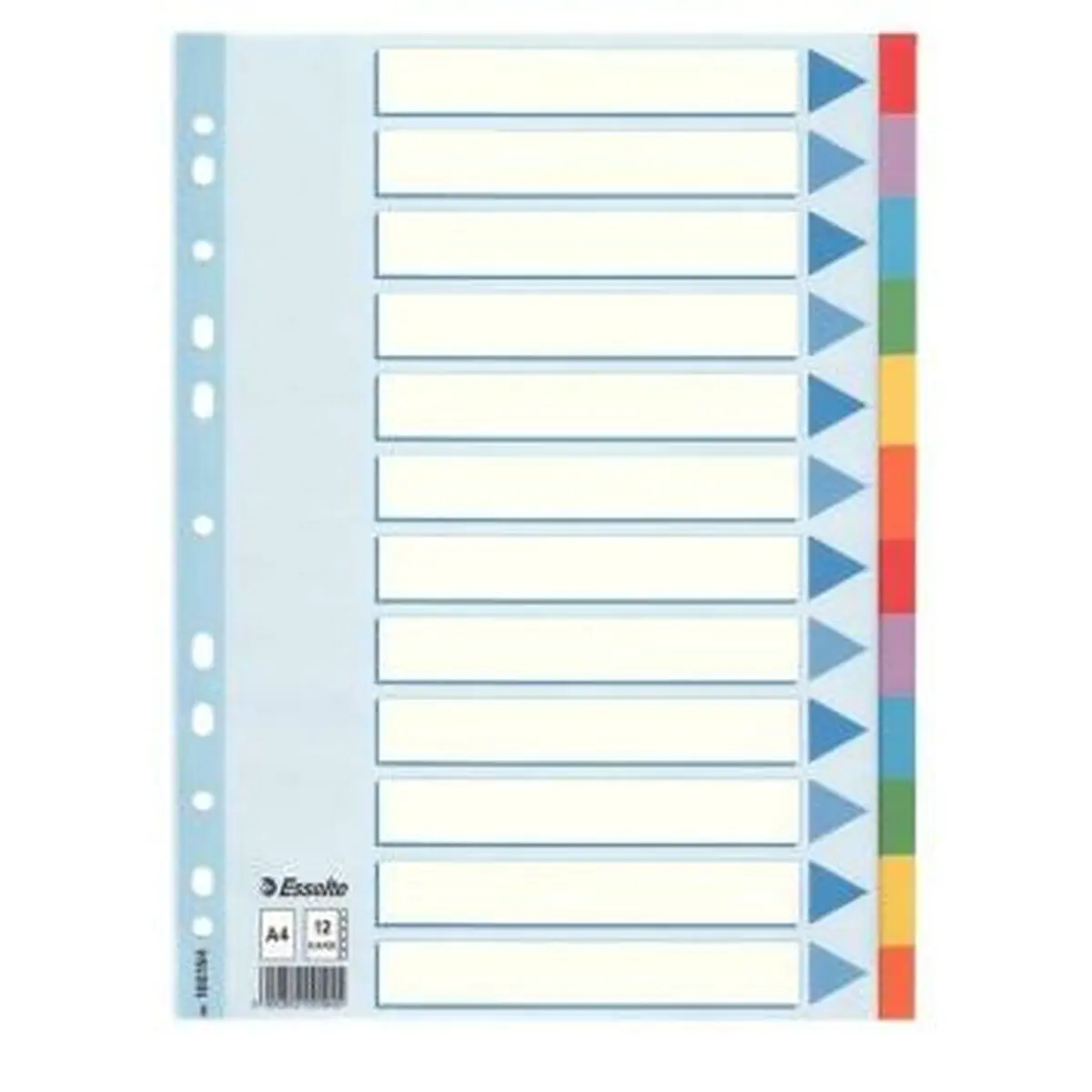 Paravento Esselte Multi-coloured Cardboard Dividers Multicolore