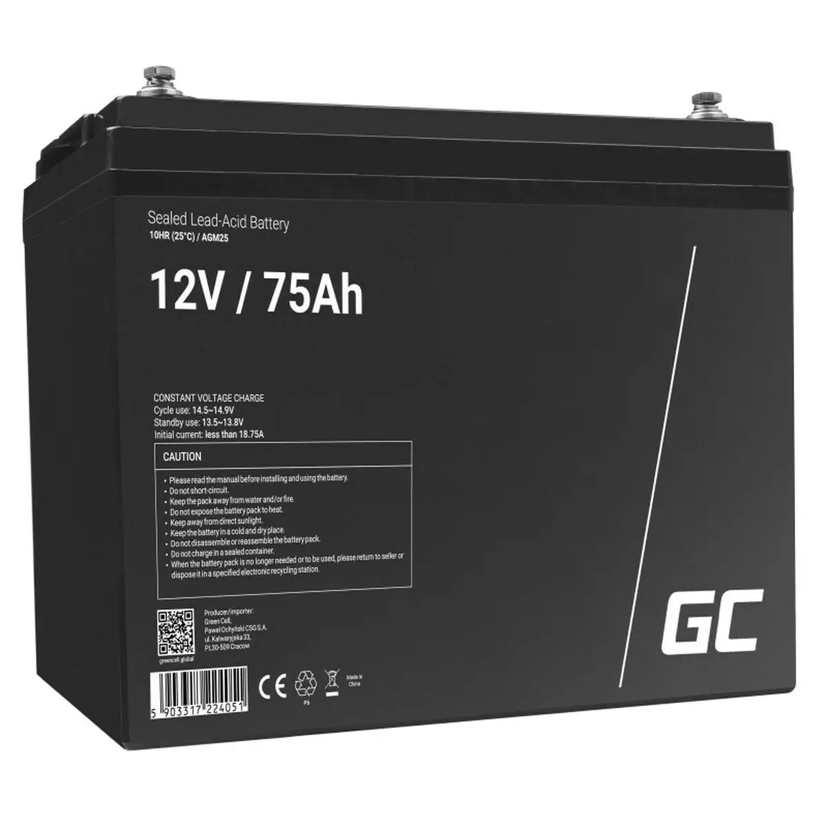 Batteria per Gruppo di Continuità UPS Green Cell AGM25 75 Ah 12 V