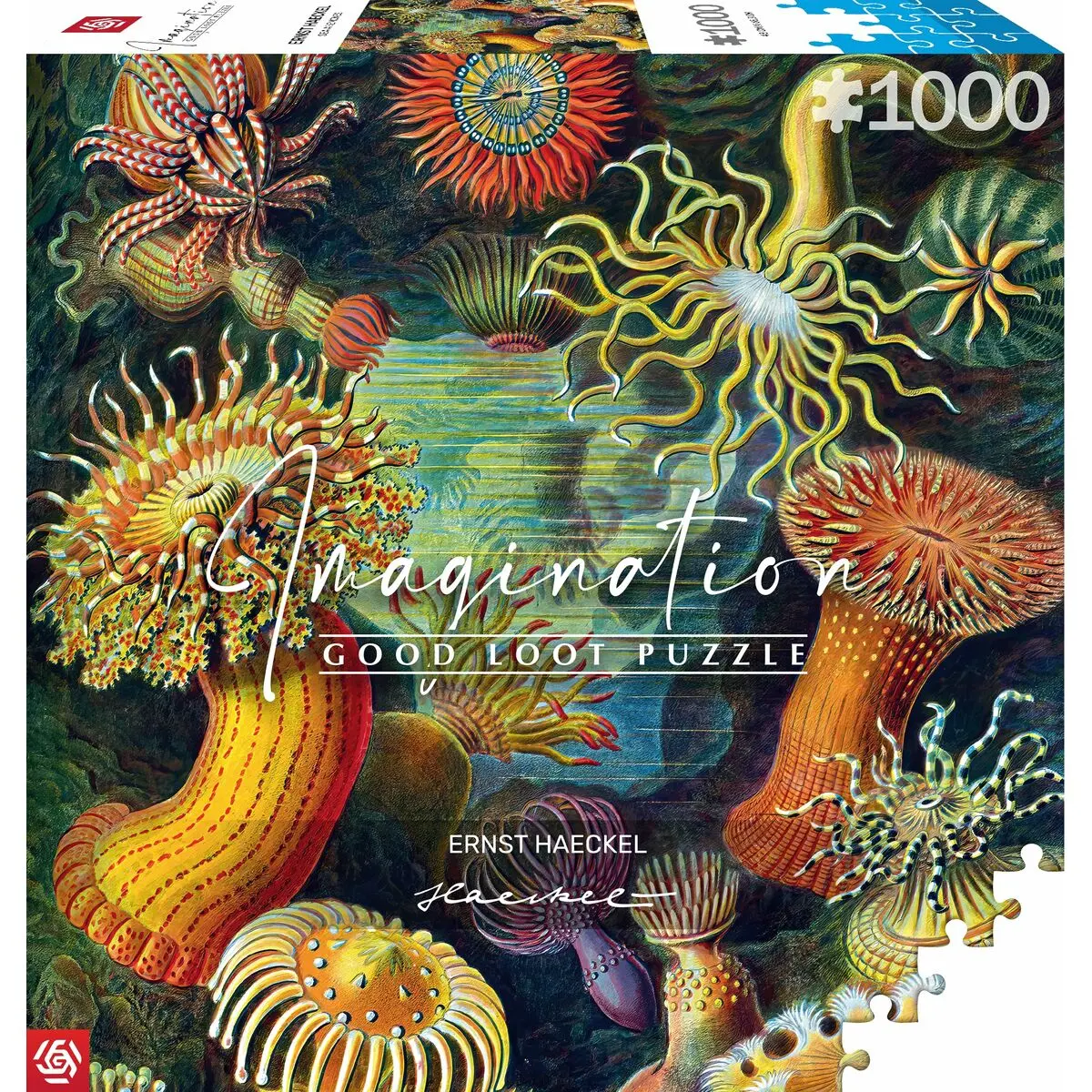 Puzzle Cenega Publishing Ernst Haeckel Criaturas marinas 1000 Pezzi