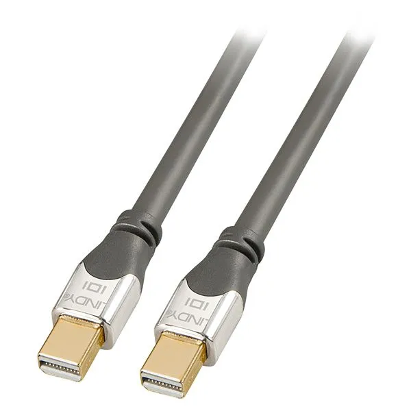 CAVO MINI DISPLAYPORT CROMO 2M