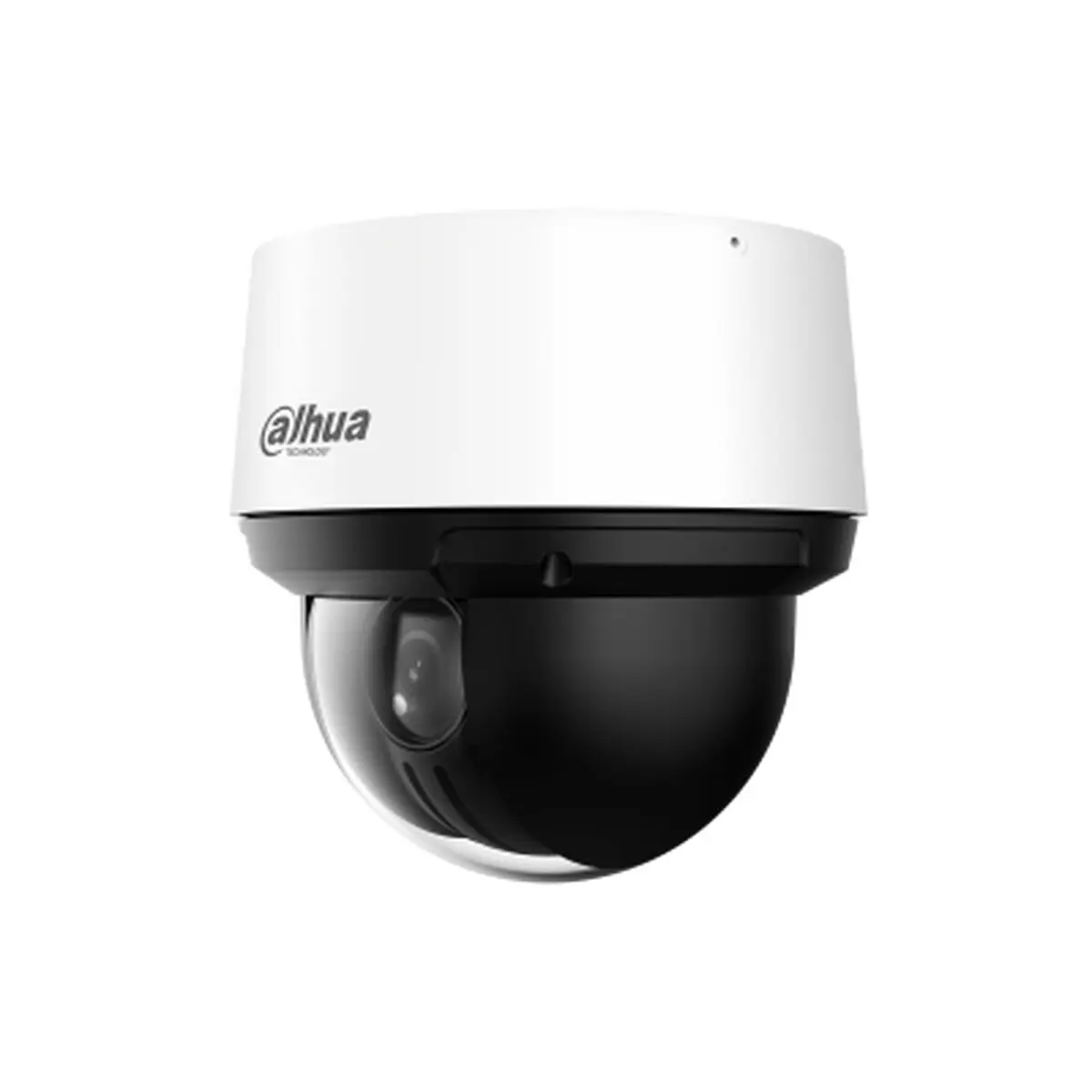 Videocamera di Sorveglianza Dahua SD4A425DB-HNY