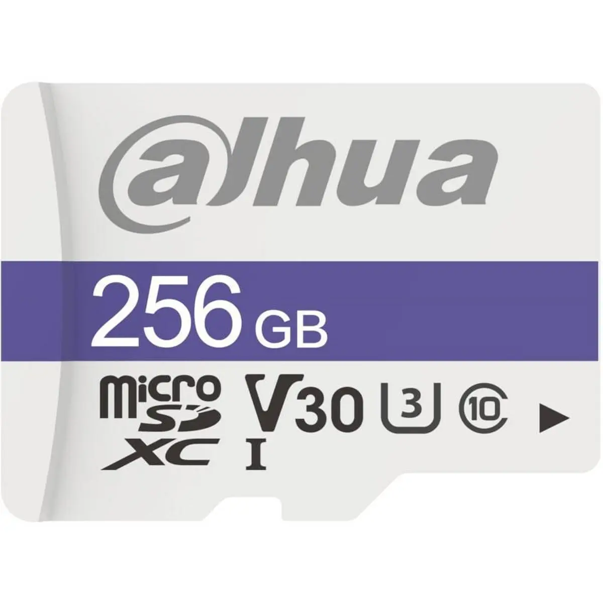 Scheda Micro SD Dahua 1.0.99.80.10175