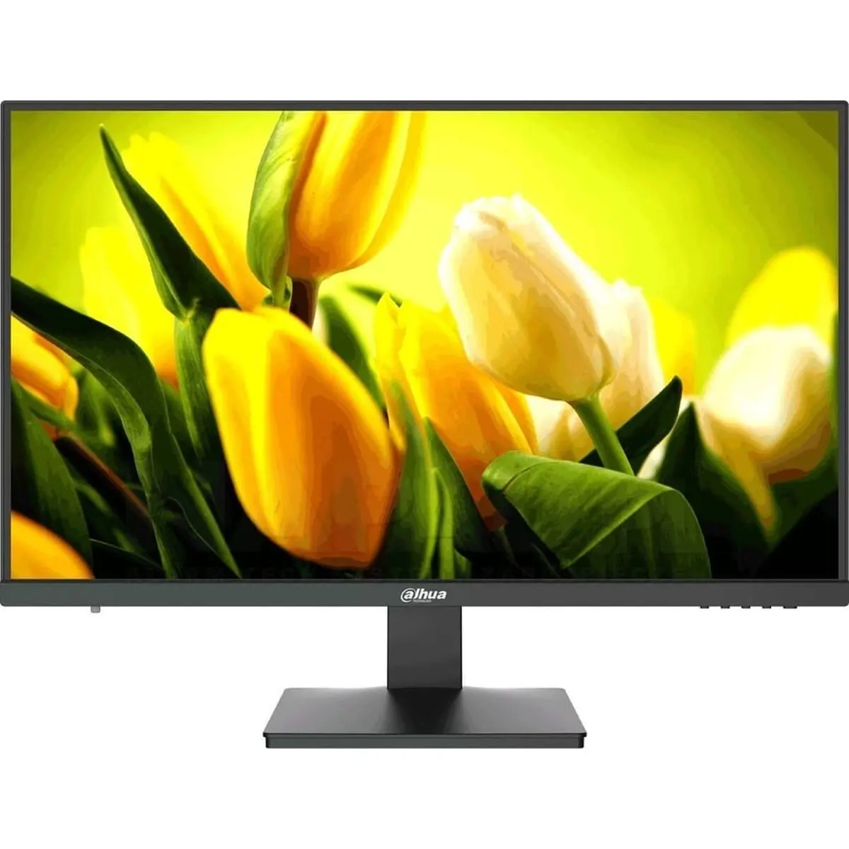 Monitor Gaming Dahua LM27-L200 Full HD 27"