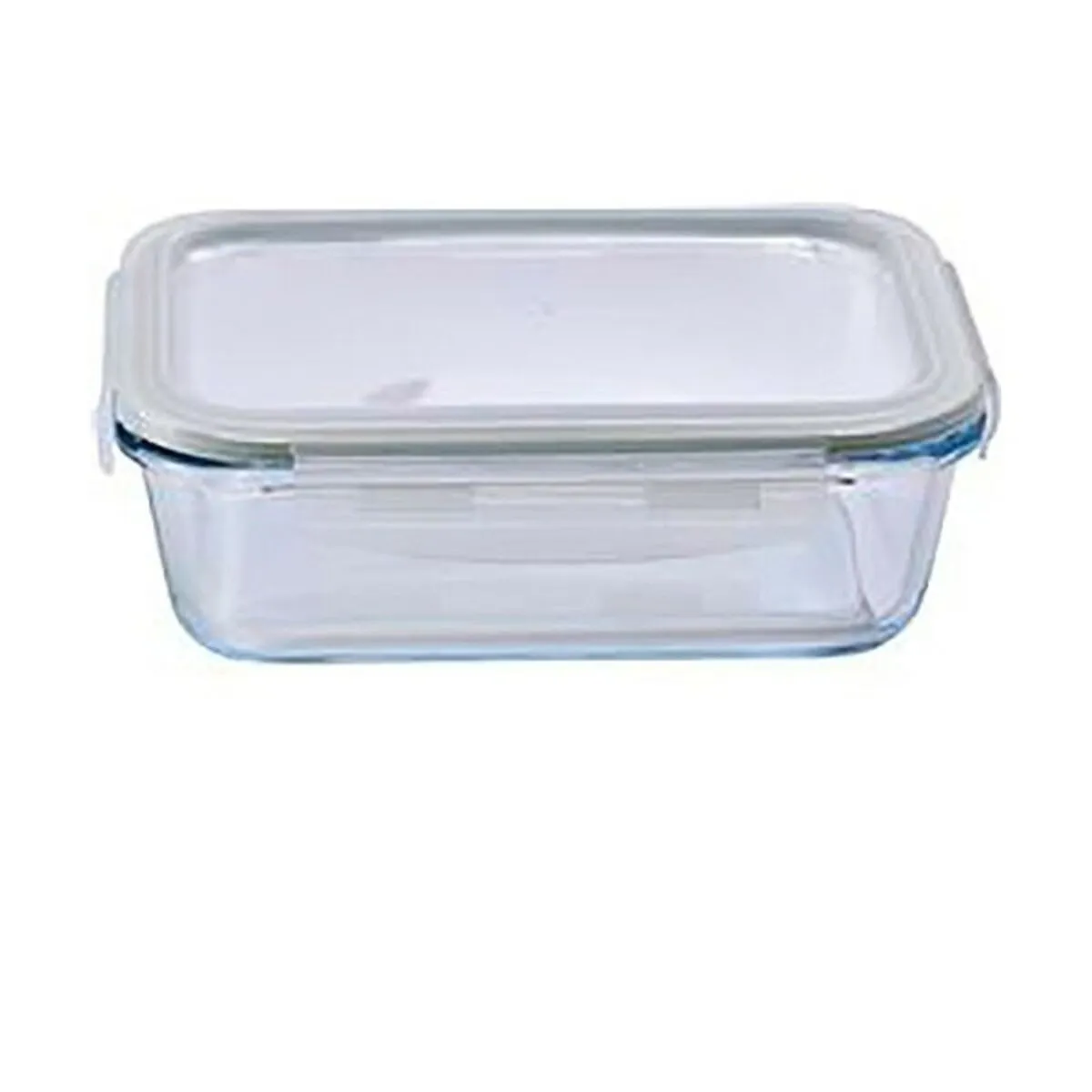 Porta pranzo Ermetico Bergner 1000 ml Vetro Borosilicato