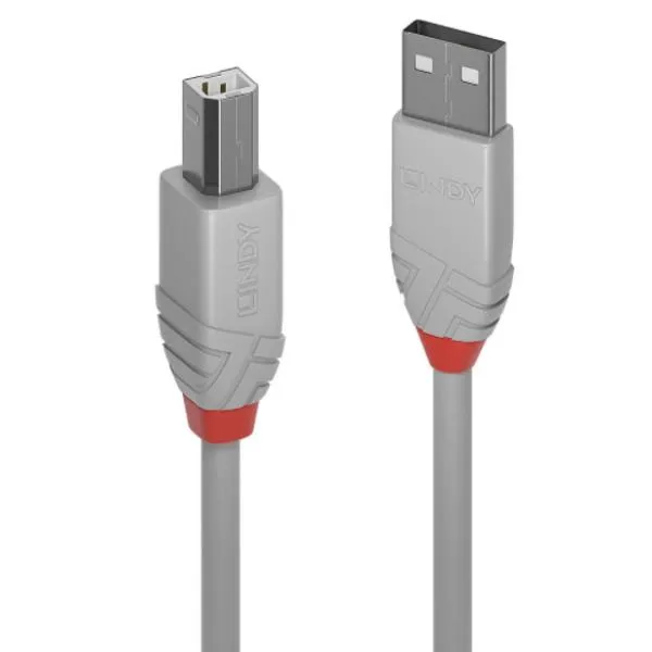 CAVO USB 2.0 GRIGIO 5M