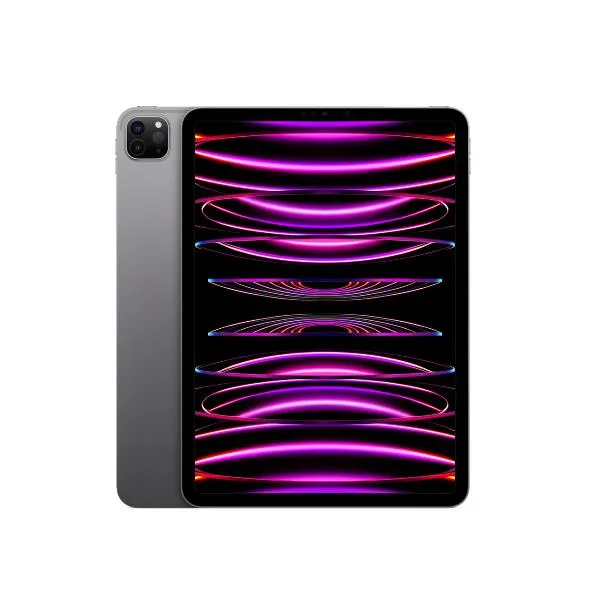 IPAD PRO 11 WF CL 256 GRY