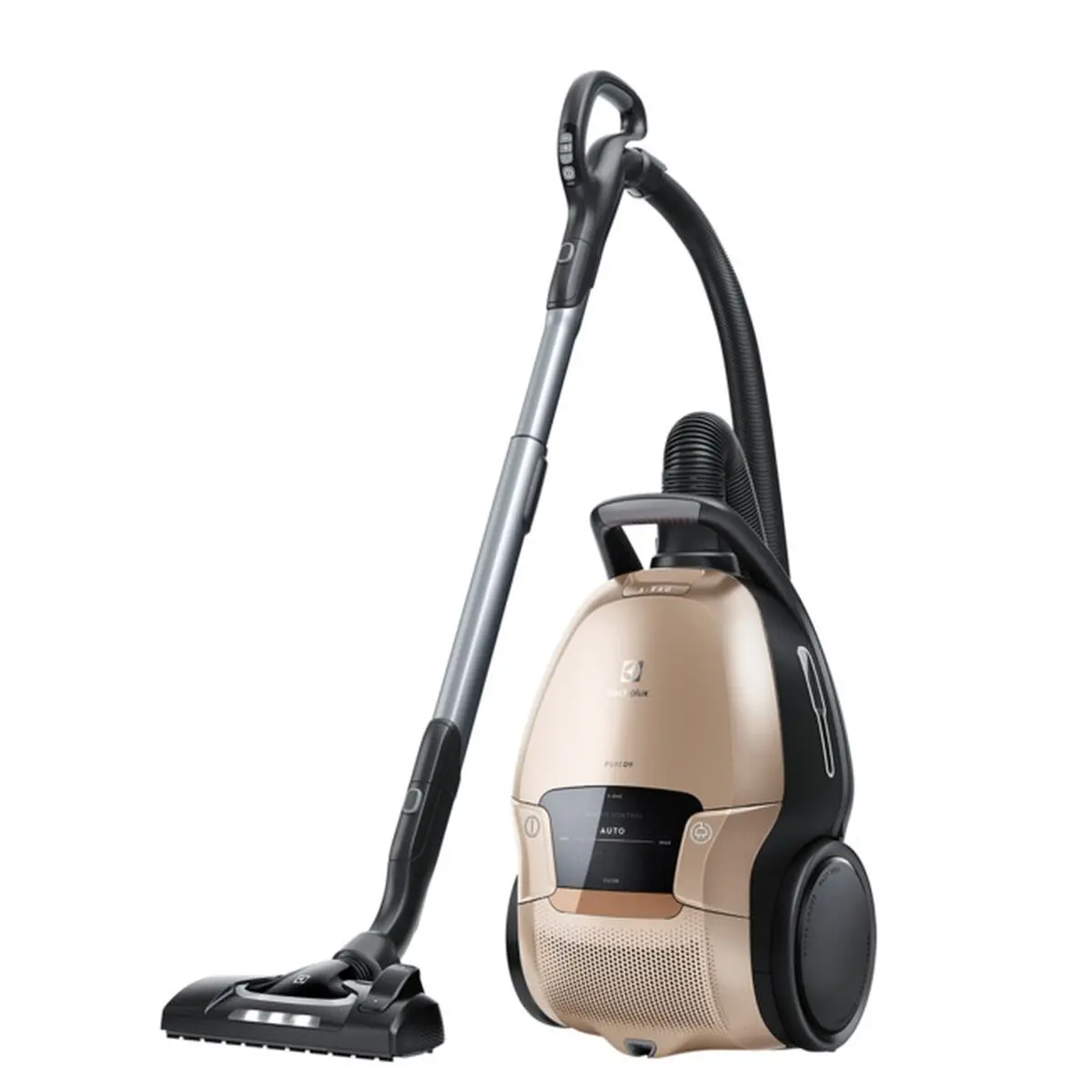 Aspirapolvere senza Sacchetto Electrolux PD91-8SSM Nero Oro