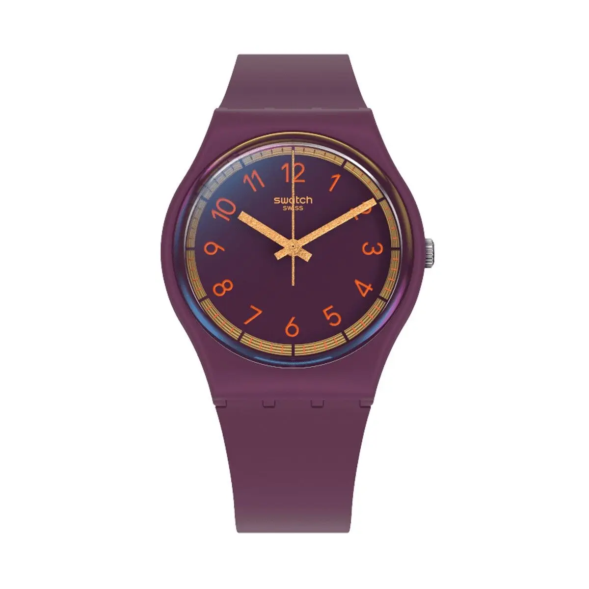 Orologio Uomo Swatch SVHV100-5300