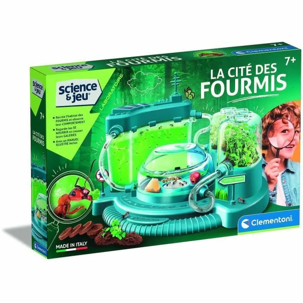 Gioco di Scienza Baby Born Science and Games The city of ants Ant observatory (FR)