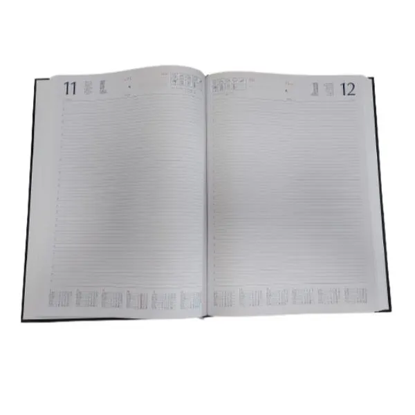 AGENDA BLU GIORN  21X29 7 BL.