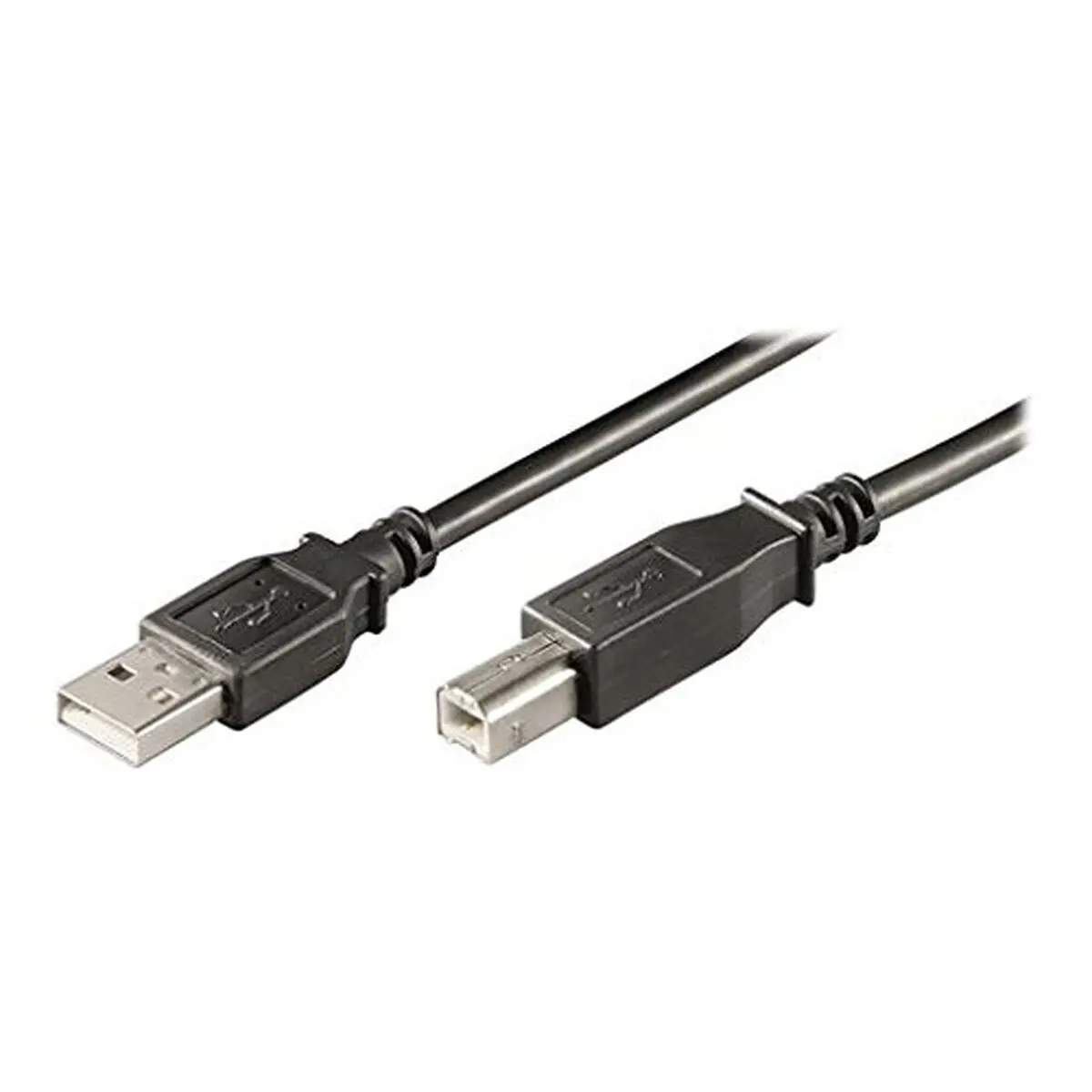 Cavo USB 2.0 Ewent Nero