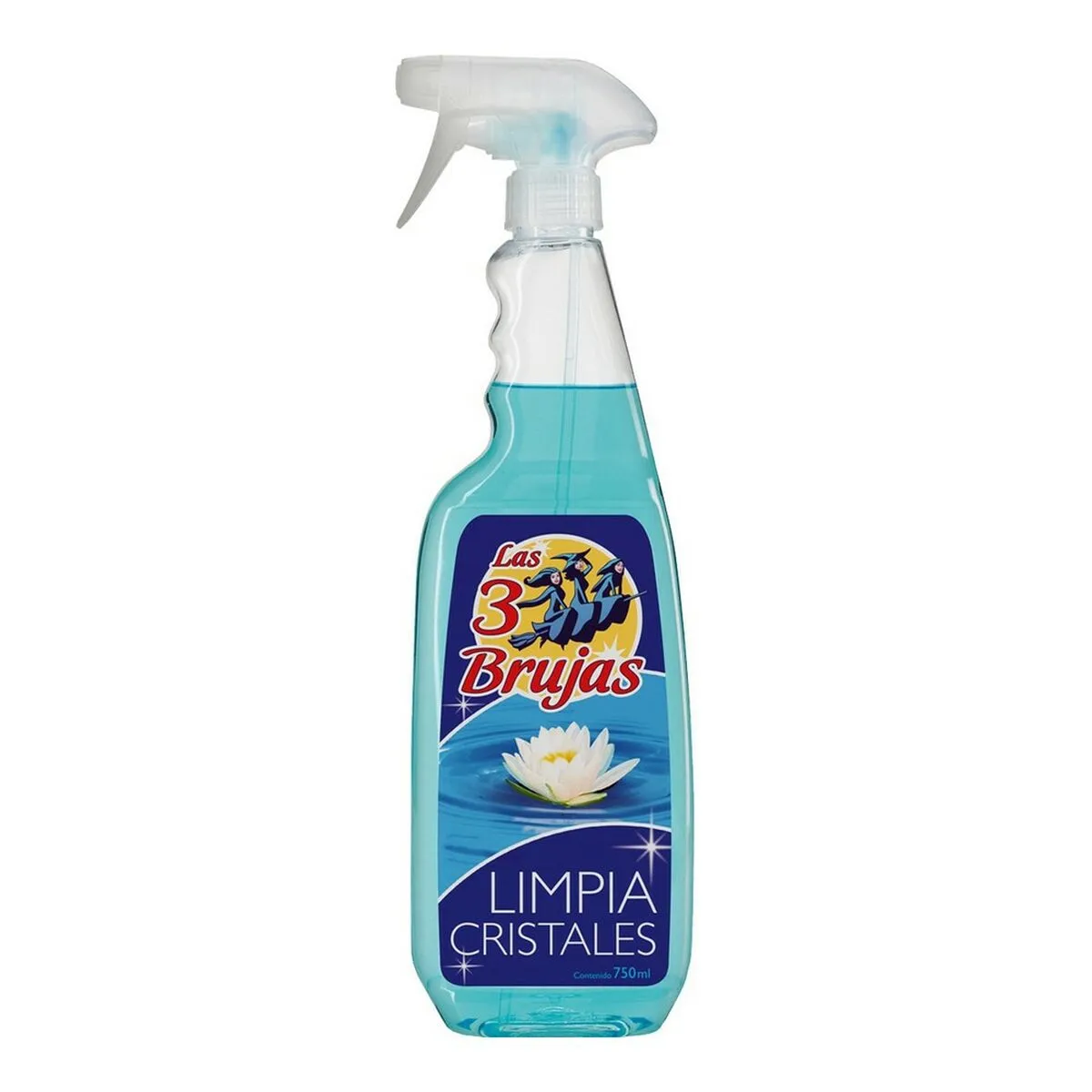 Lavavetri con Pulitore a Vapore Integrato Las 3 Brujas (750 ml)