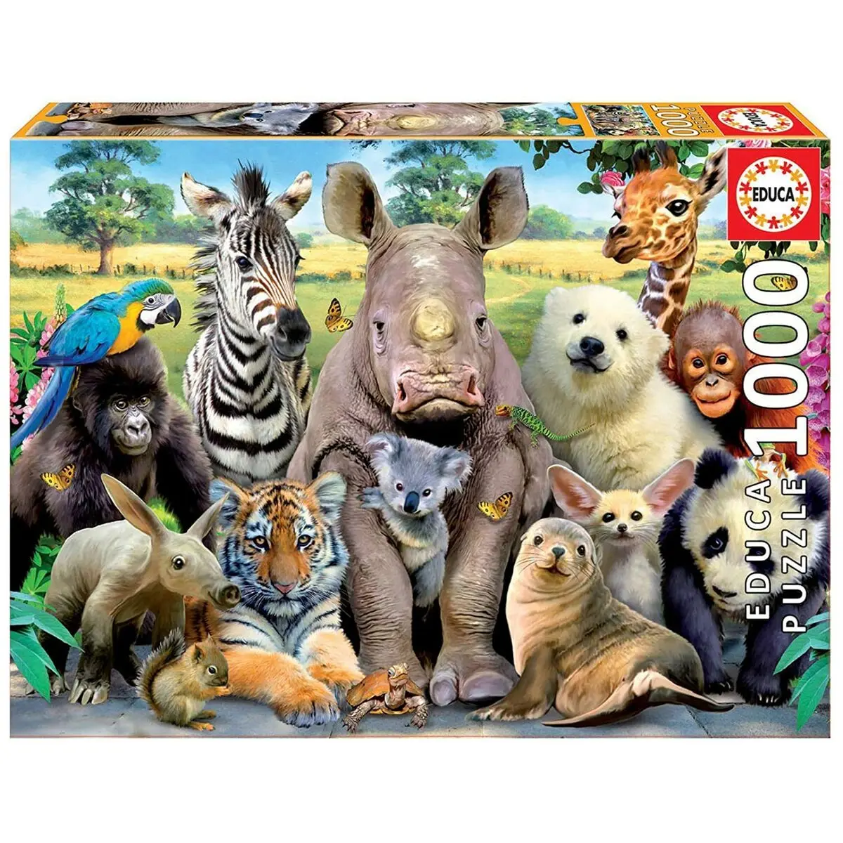 Puzzle Educa 15517