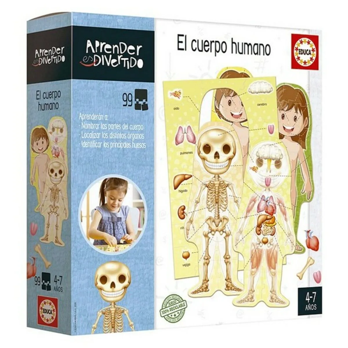 Gioco Educativo El Cuerpo Humano Educa 18701 (ES)