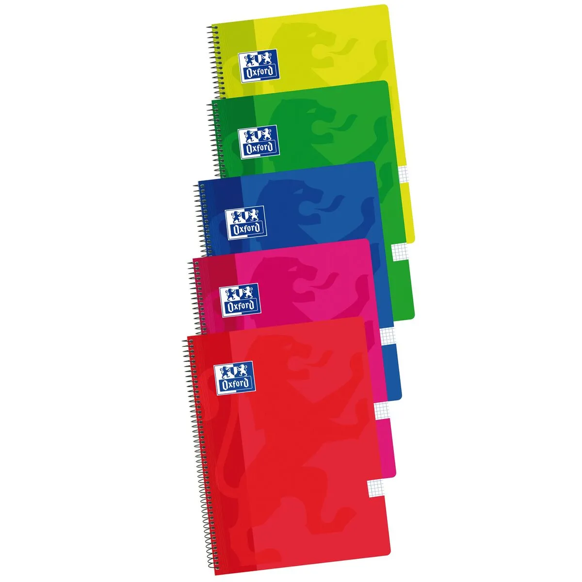 Quaderno Oxford Multicolore Din A4 5 Pezzi 80 Pagine