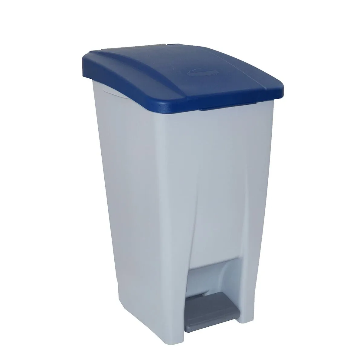 Cestino a pedale Azzurro Grigio Plastica Rettangolare 60 L