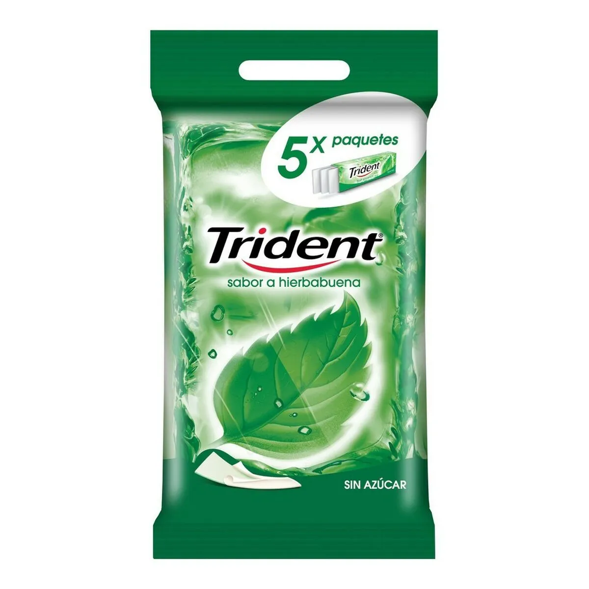 Chewing Gum Trident Clorofilla (5 packs)