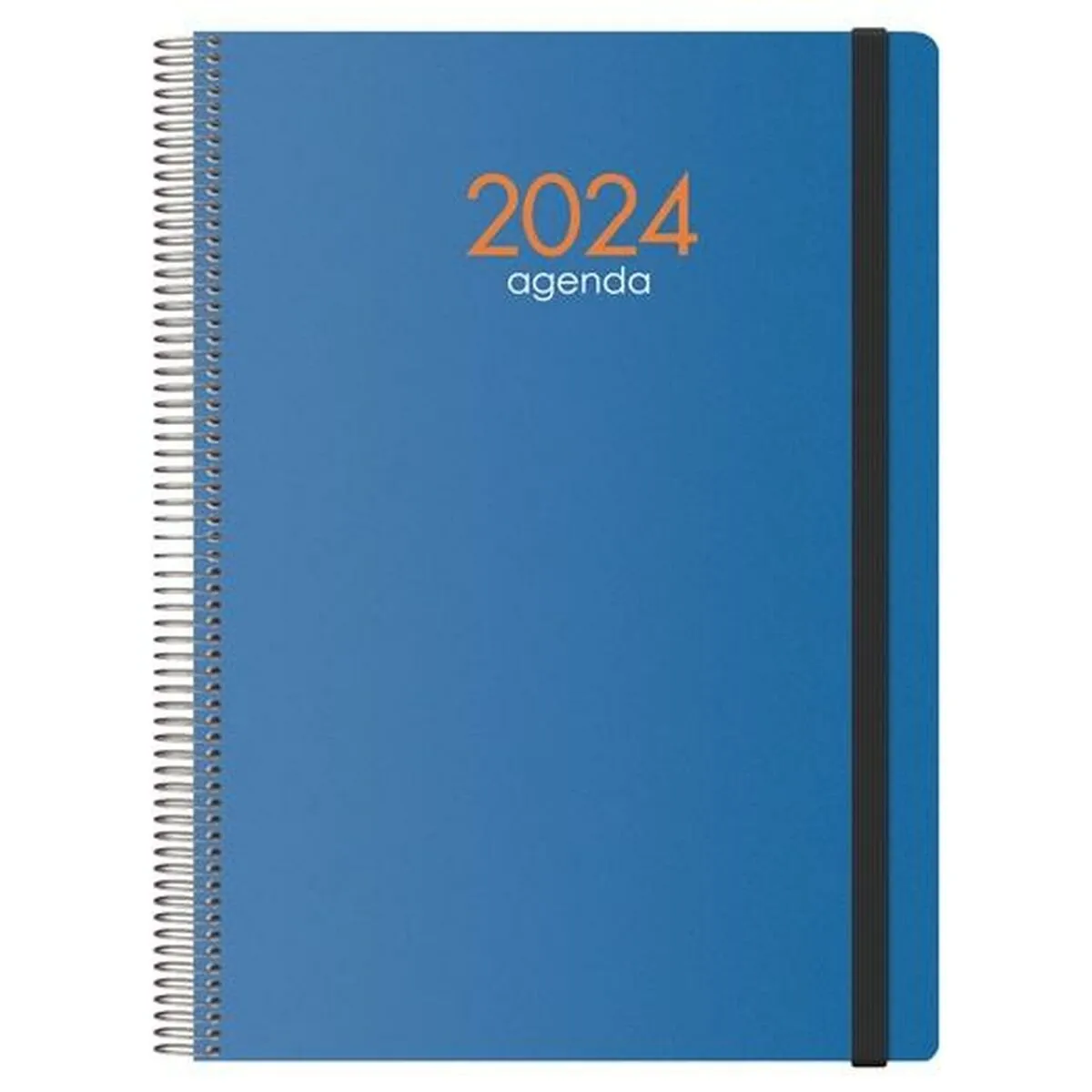 Agenda SYNCRO  DOHE 2024 Annuale Azzurro 21 x 29,7 cm