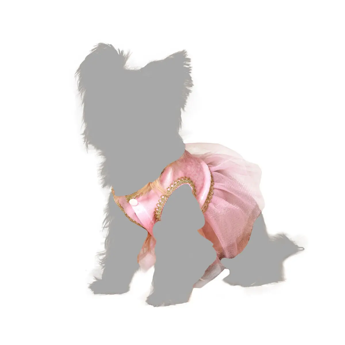 Costume per Cane Taglia S Ballerina Classica