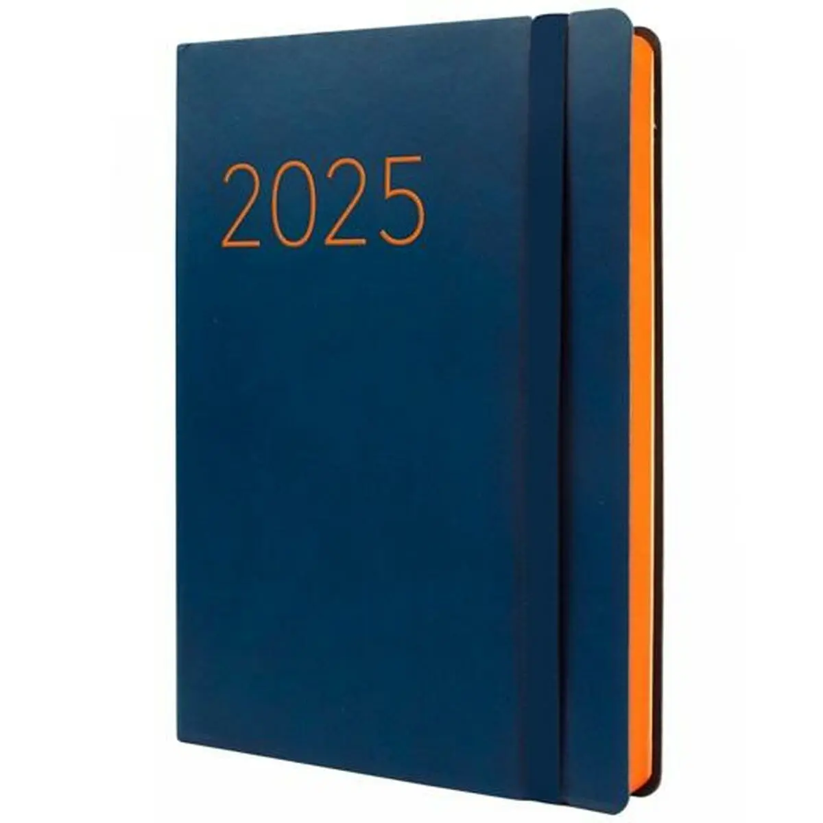 Agenda Finocam FLEXI Azzurro A5 14,8 x 21 cm 2025 Liscia