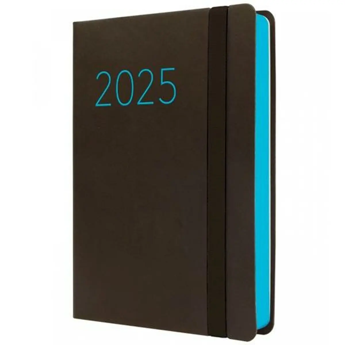 Agenda Finocam FLEXI Nero 11,8 x 16,8 cm 2025 Liscia