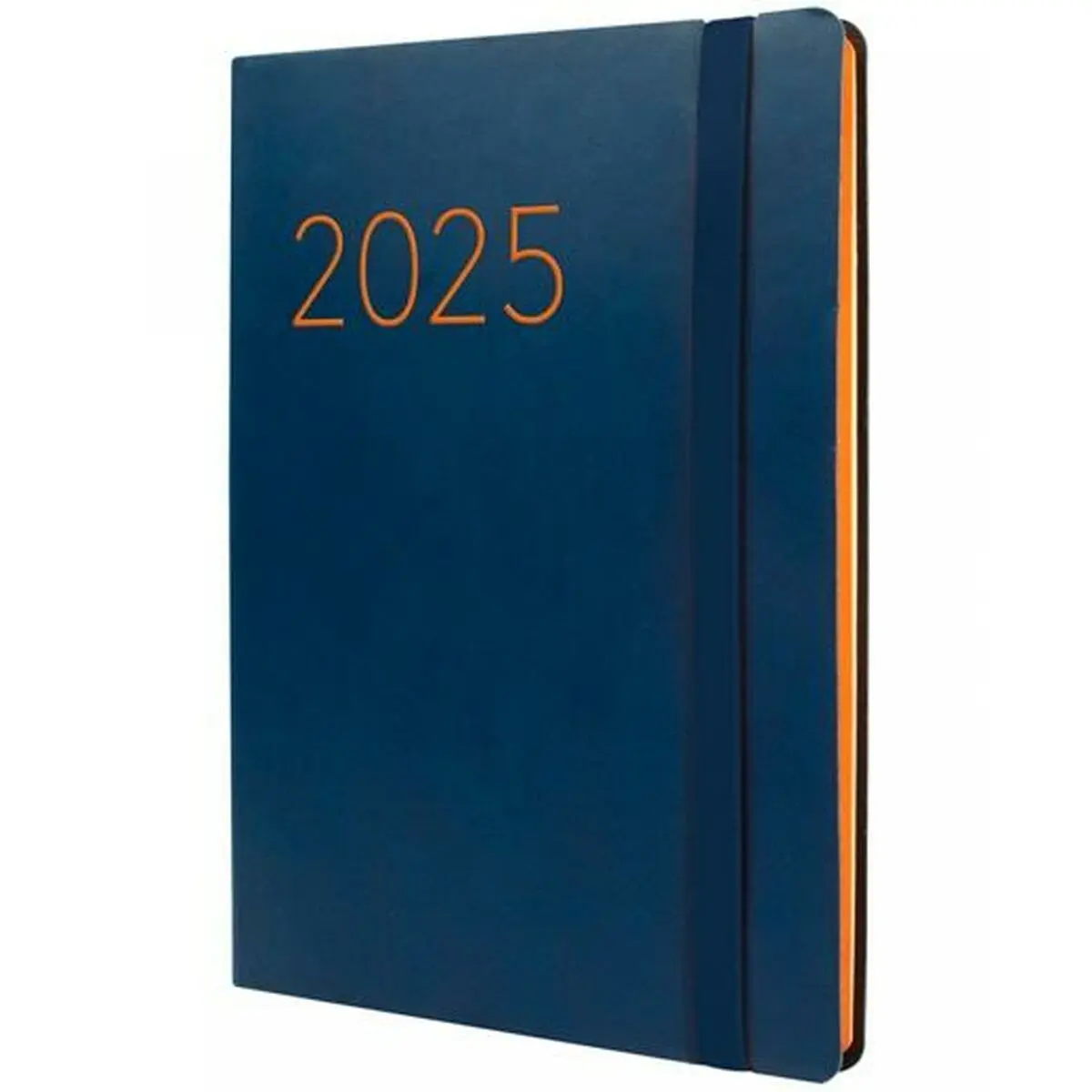 Agenda Finocam FLEXI Azzurro A5 14,8 x 21 cm 2025 Liscia