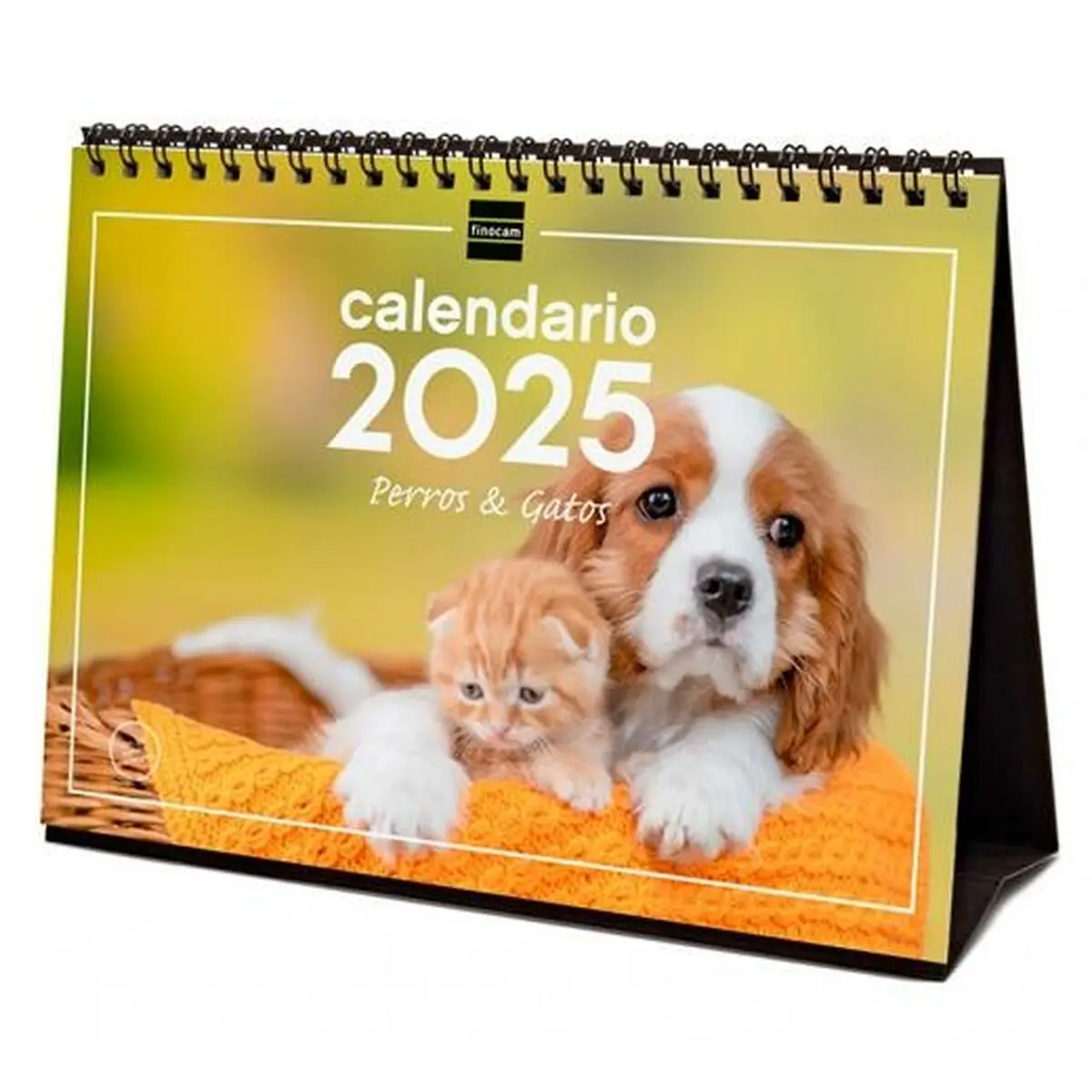 Calendario da Tavolo Finocam PERROS Y GATOS Multicolore Carta 21 x 15 cm 2025