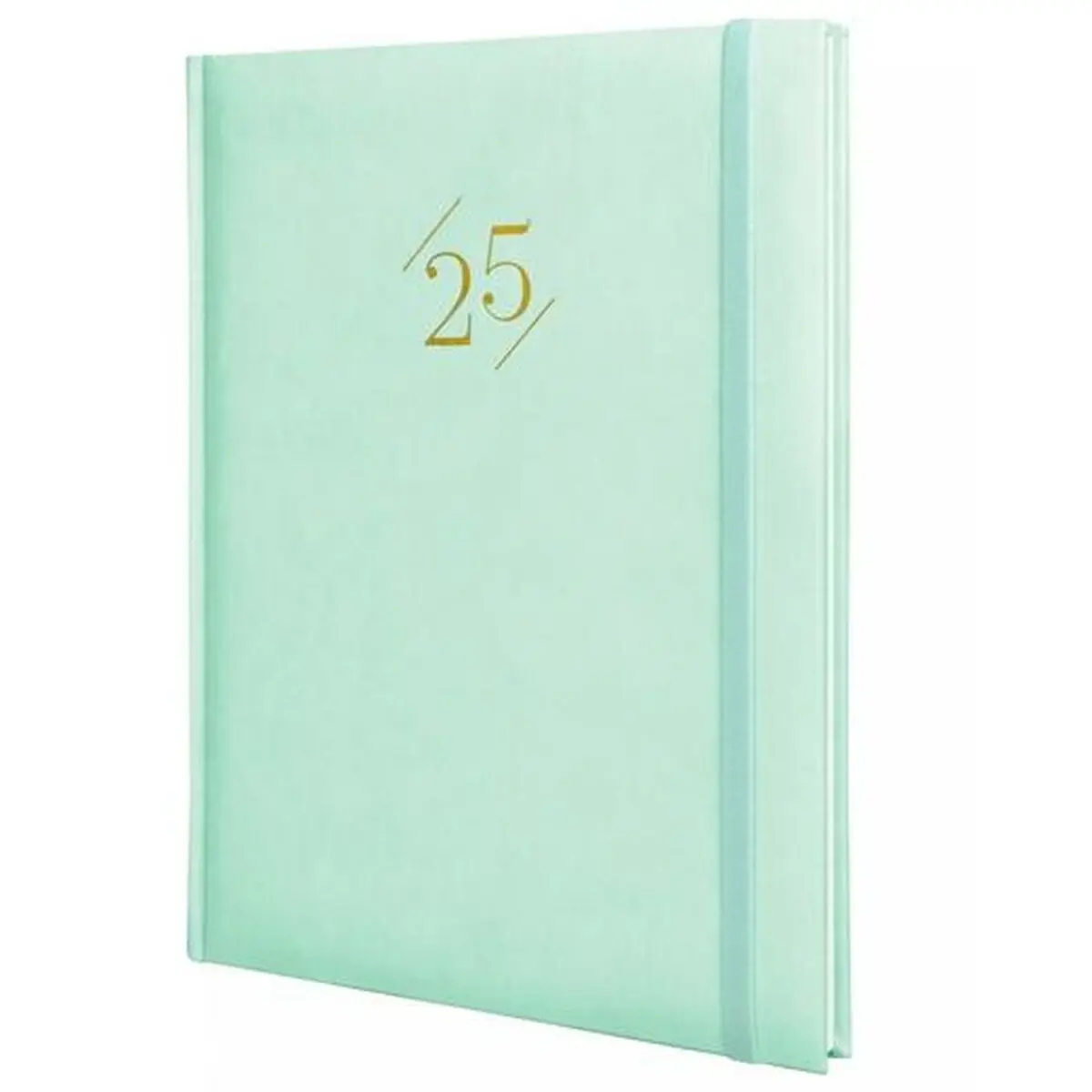 Agenda Finocam Dynamic London Y12 Menta 21 x 27 cm 2025