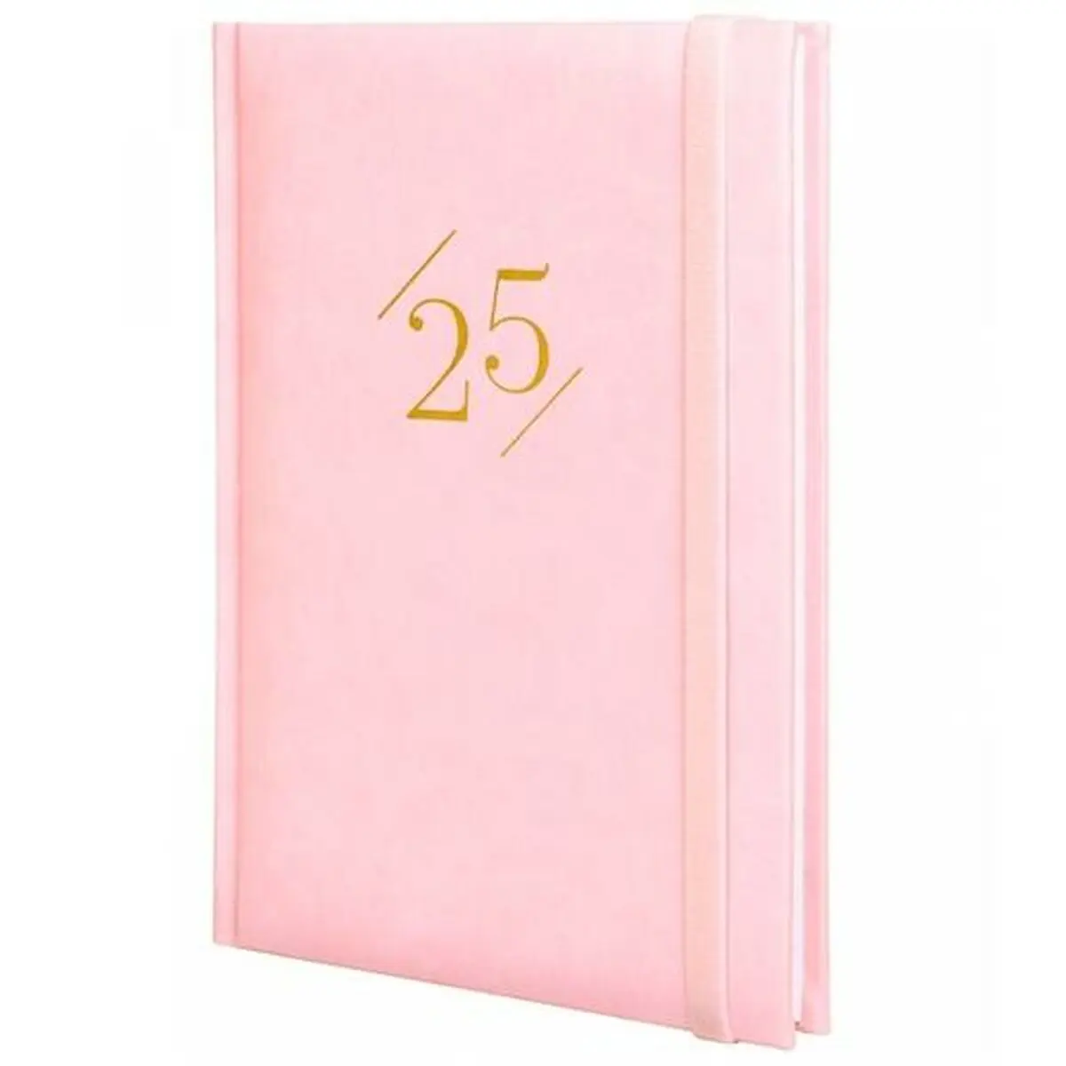 Agenda Finocam DYNAMIC LONDON Y10 Rosa A5 14 x 20,4 cm 2025