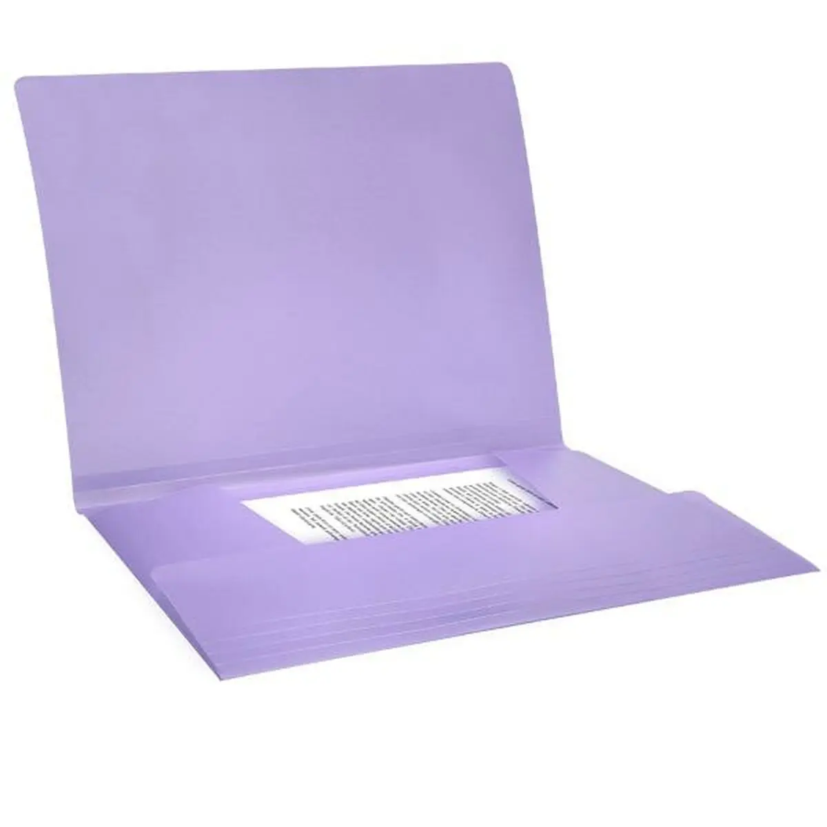 Fascicolo Liderpapel GC16 Lilla A4