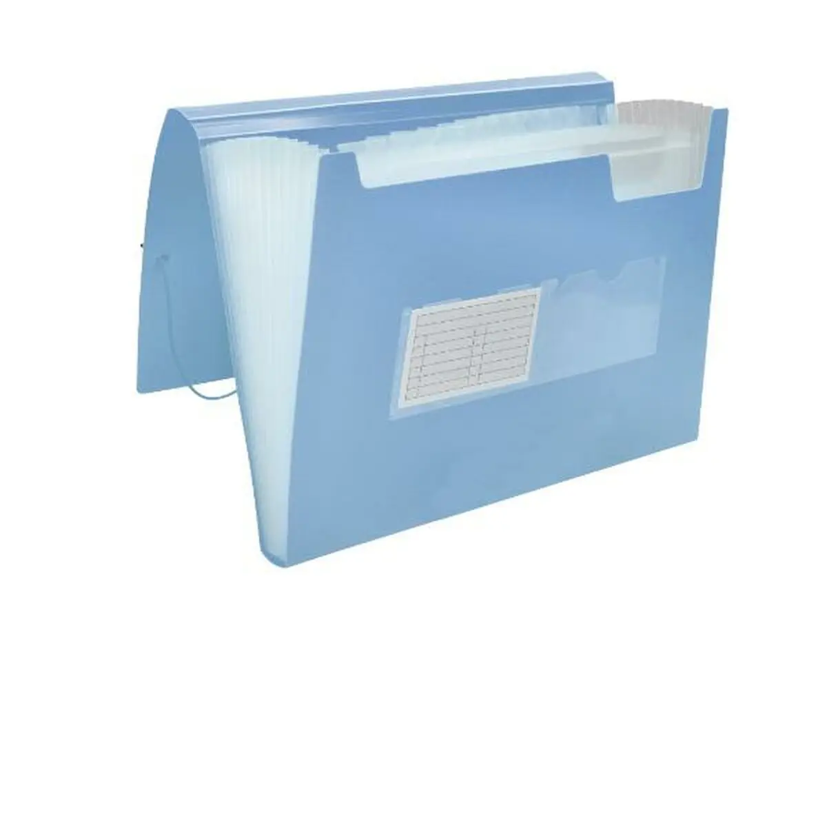 Classificatore Documenti Liderpapel FU39 Azzurro A4