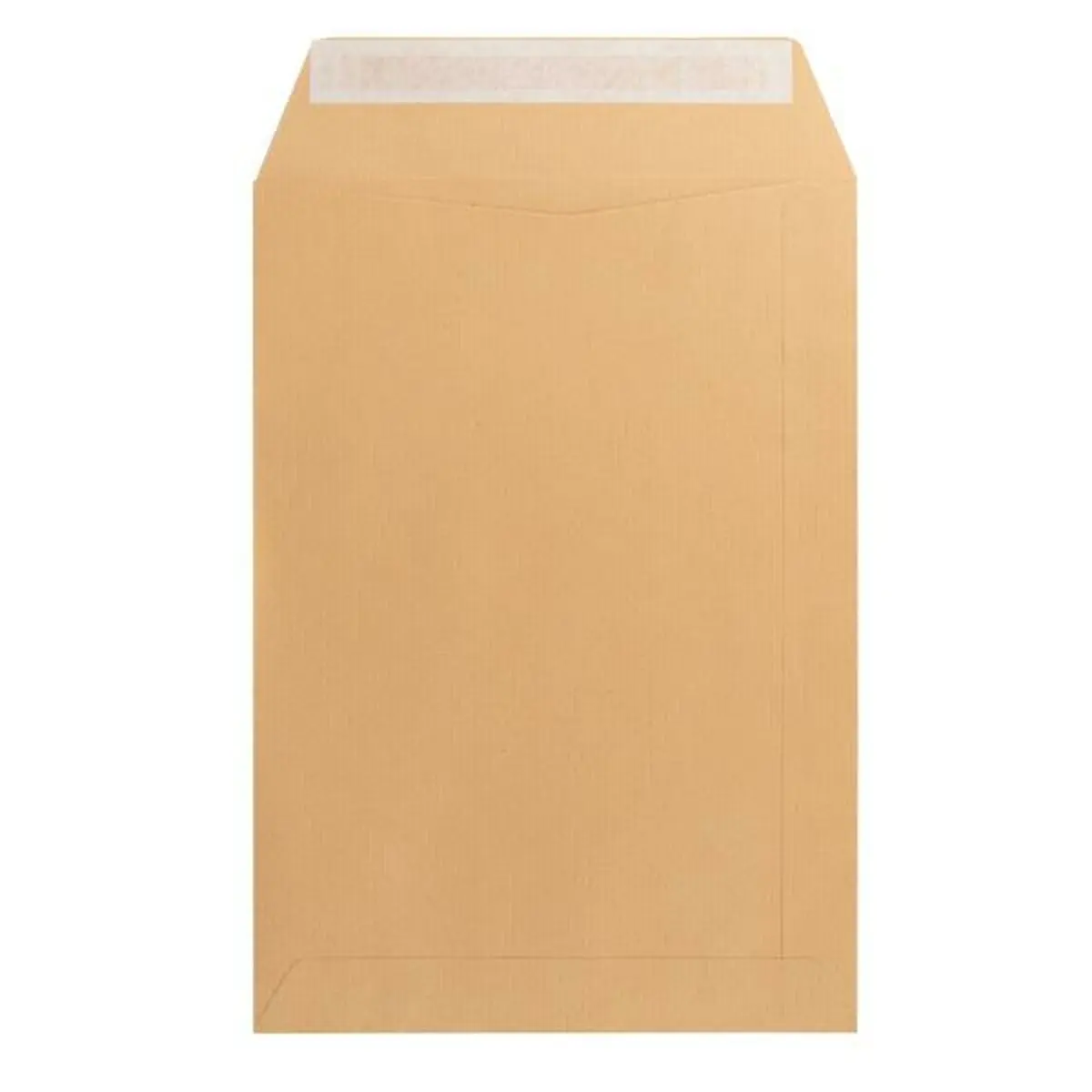 Buste Liderpapel SB52 Marrone Carta 229 x 324 mm (250 Unità)