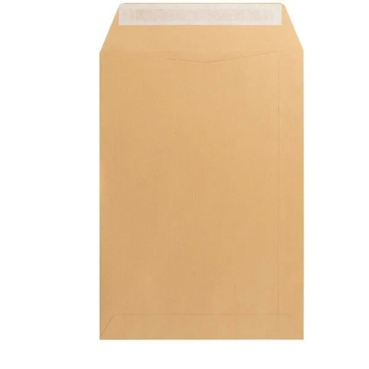 Buste Liderpapel SB56 Marrone Carta 310 x 410 mm (250 Unità)