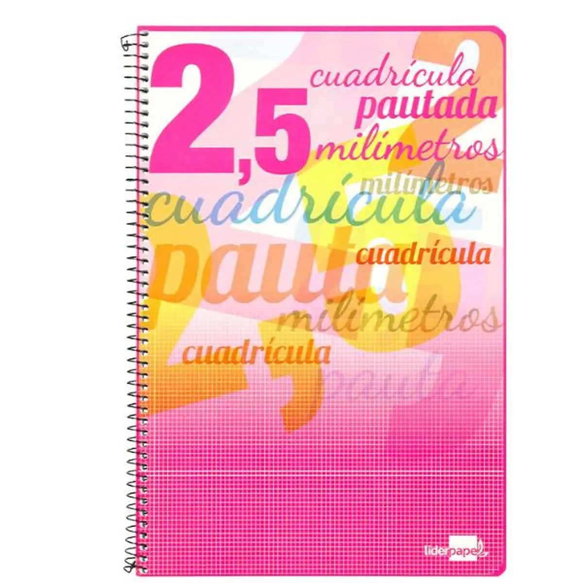 Quaderno Liderpapel BF55 80 Pagine