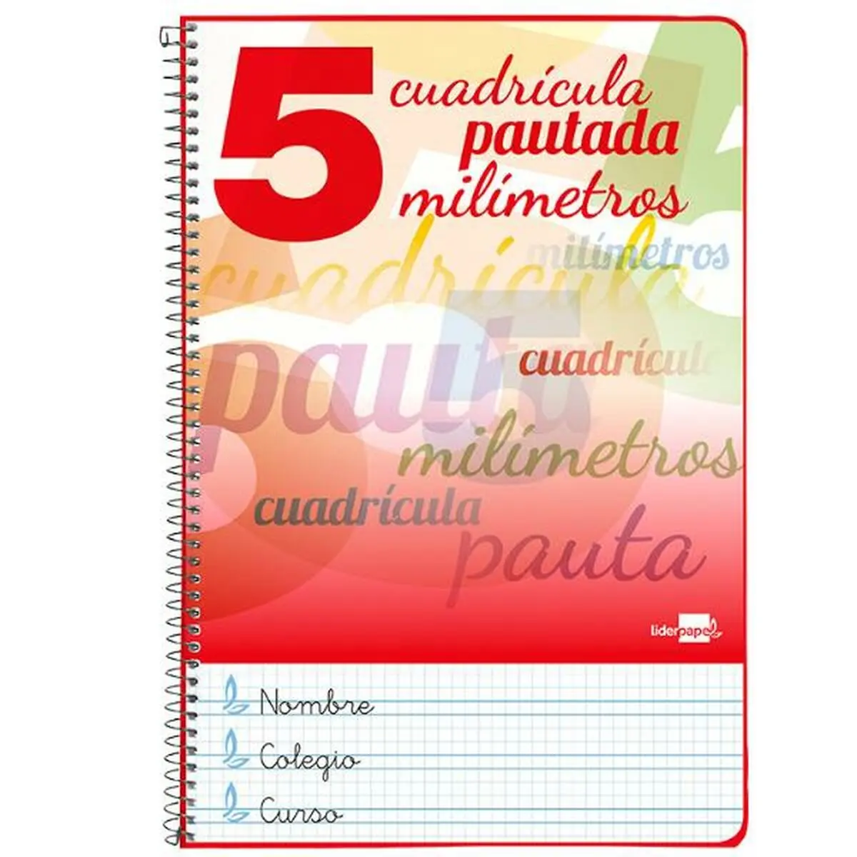 Quaderno Liderpapel BF63 80 Pagine