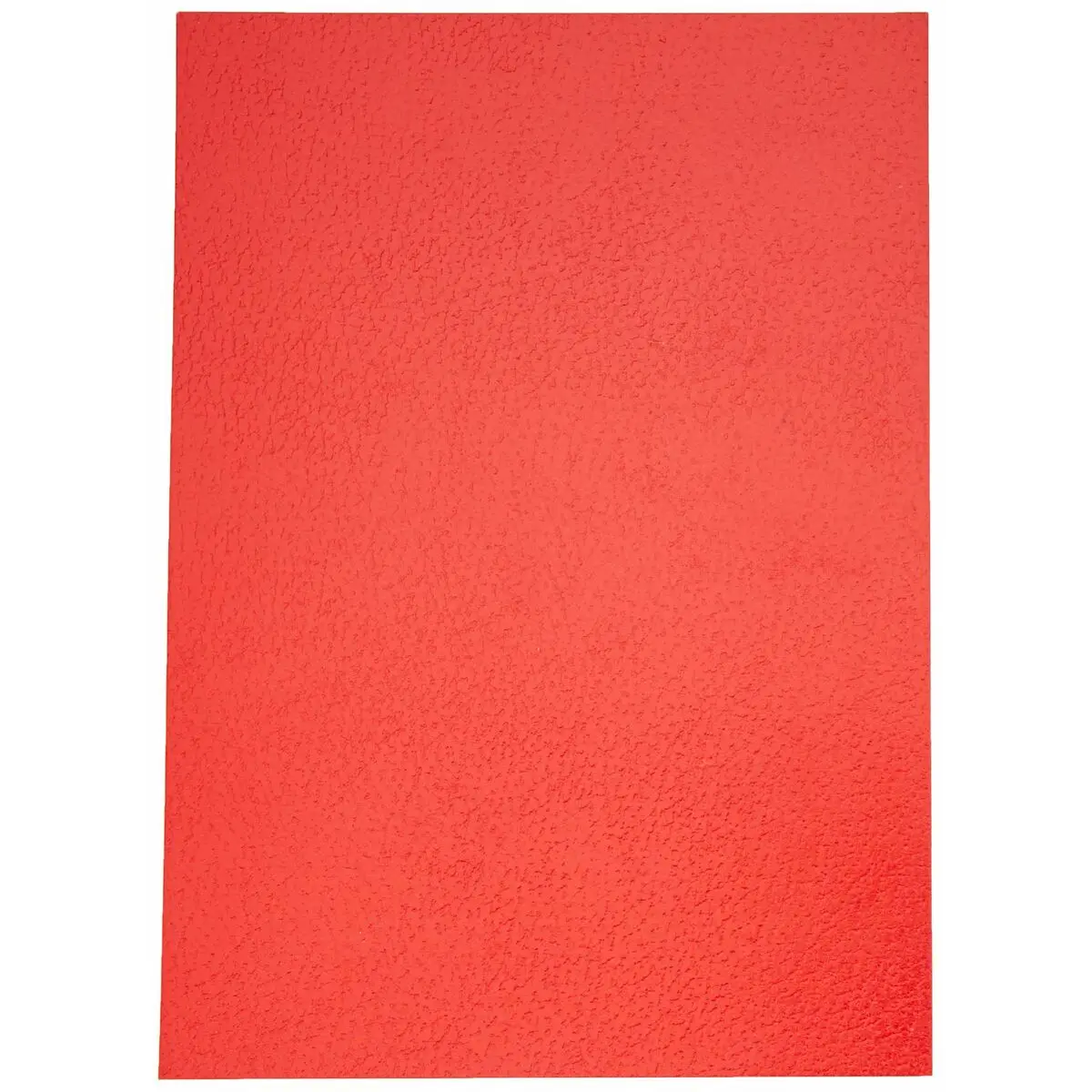 Set di coperchi Liderpapel TE03 Rosso Cartone A4 (50 Unità)