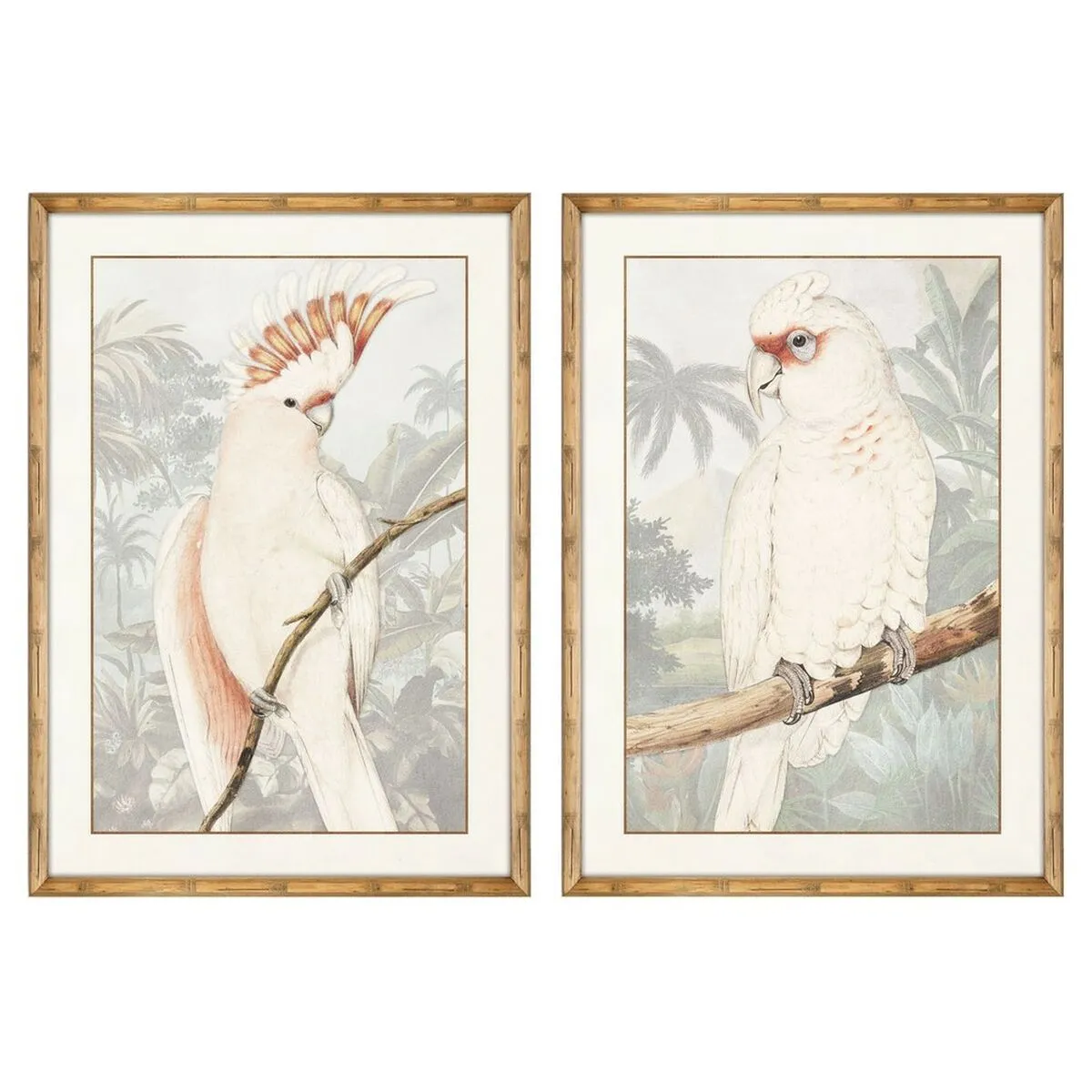 Quadro DKD Home Decor Pappagallo Tropicale 50 x 3 x 70 cm (2 Unità)