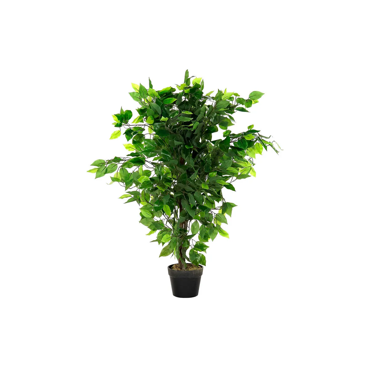 Pianta Decorativa DKD Home Decor 50 x 50 x 90 cm Metallo Polietilene Verde 30 x 40 cm Ficus Città