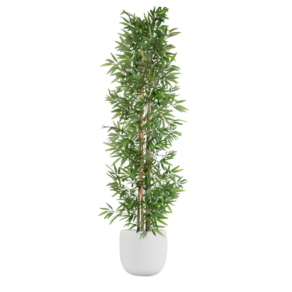 Albero Home ESPRIT Poliestere Bambù 40 x 40 x 180 cm