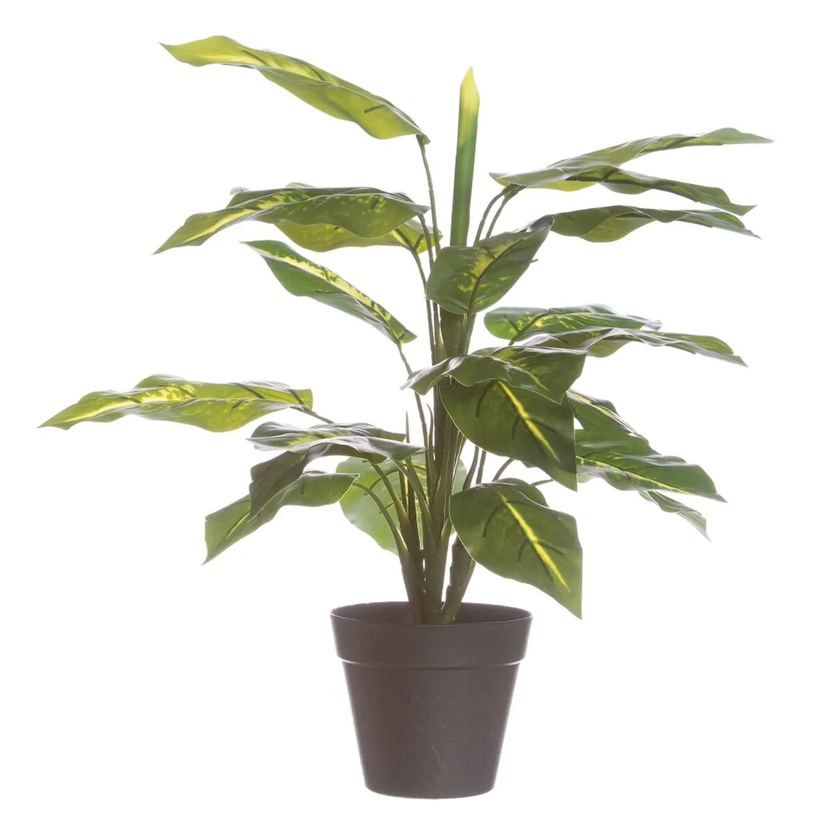 Pianta Decorativa PVC Ferro 45 cm