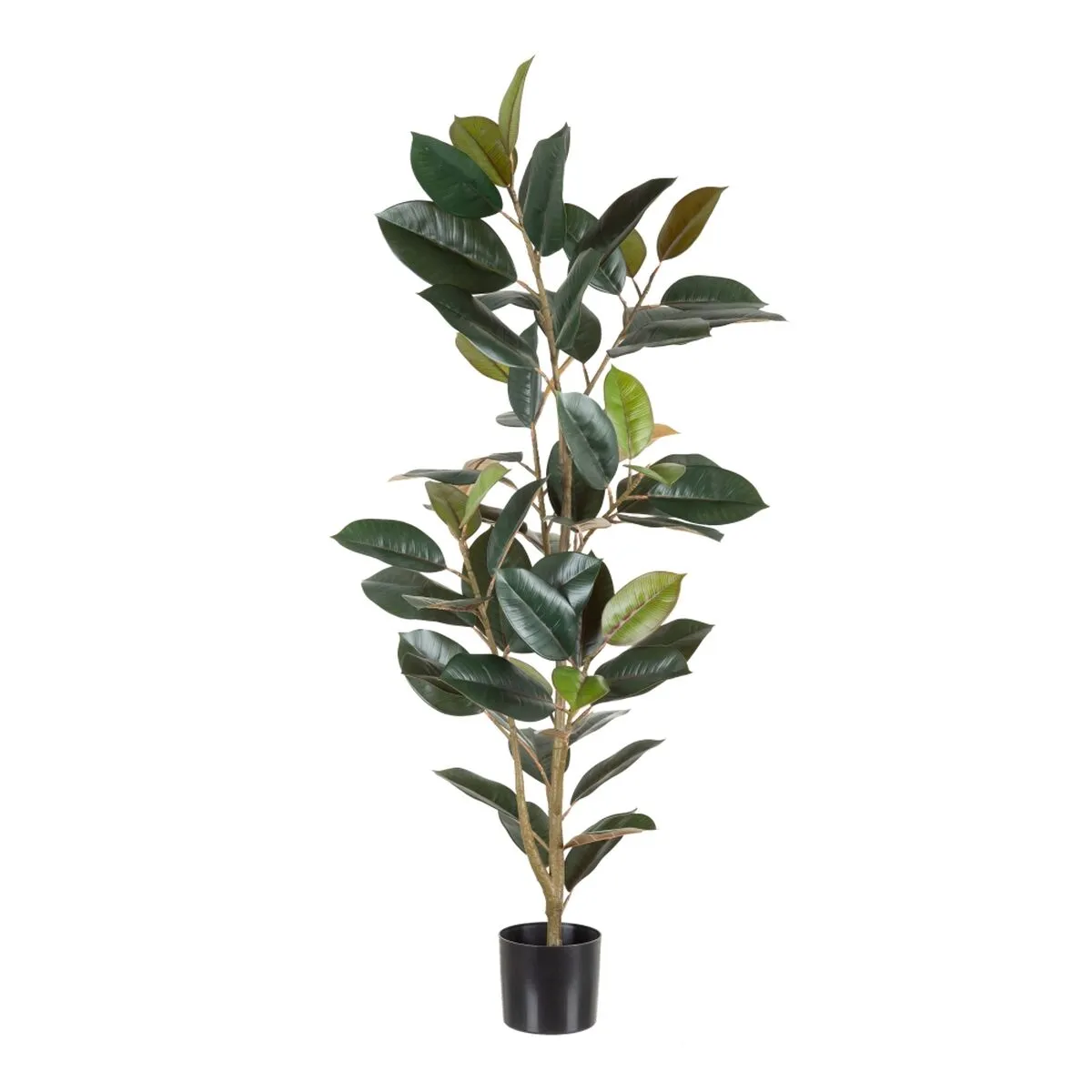 Pianta Decorativa PVC Ferro Ficus 49 x 45 x 125 cm