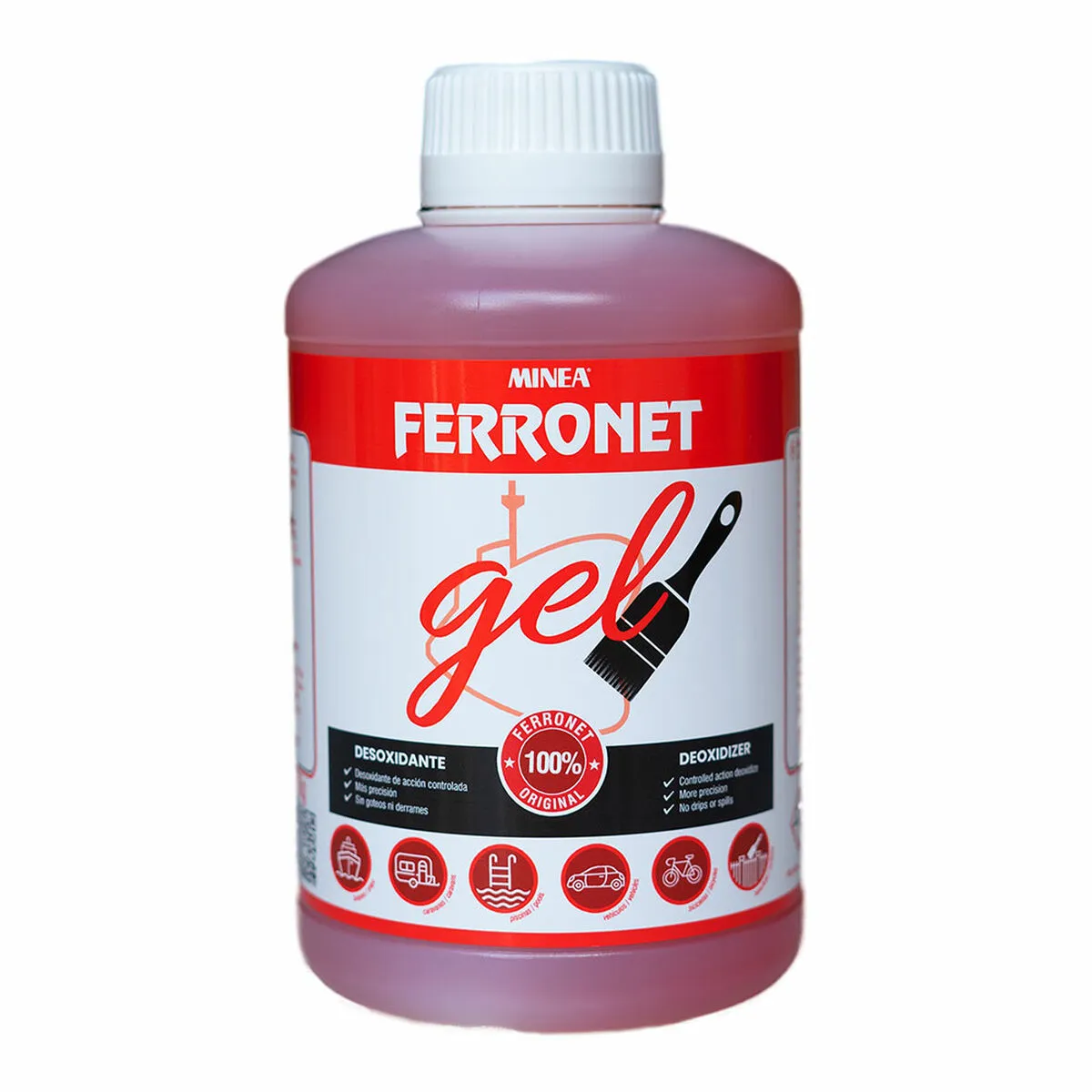 Disossidante multiuso Ferronet Gel 1 kg