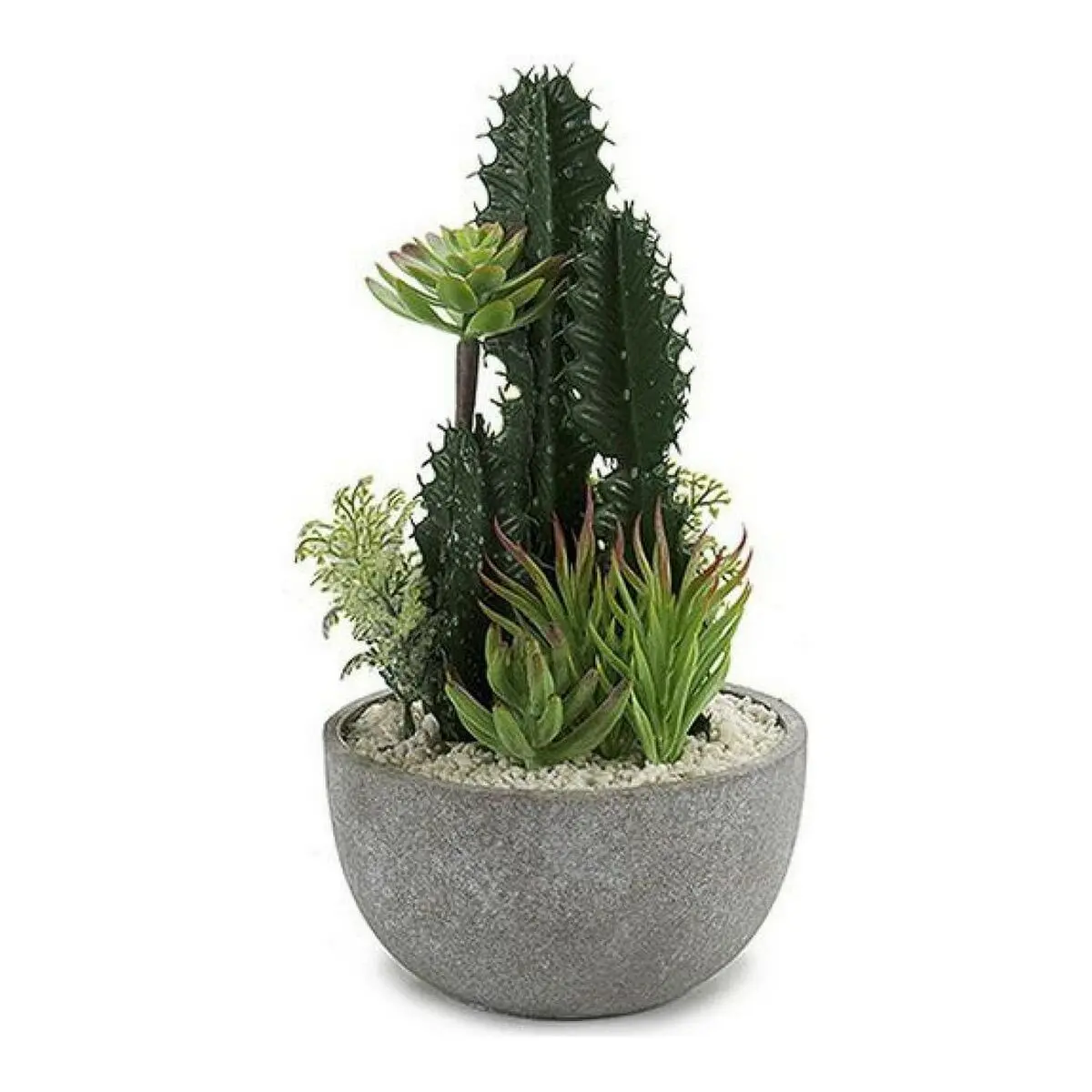 Cactus BIG-S3601496 Ceramica Plastica