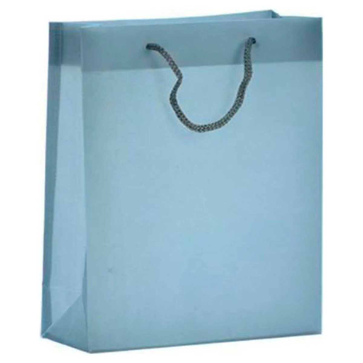 Busta Plastica Medio (8 x 27 x 23 cm)