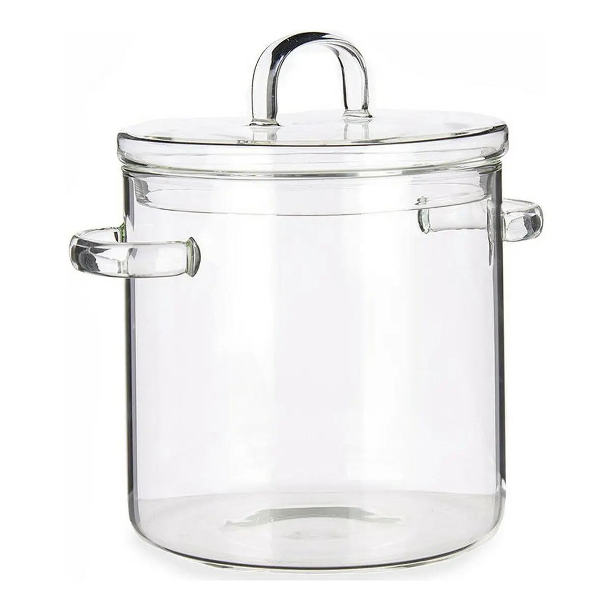 Pentola con Coperchio Vetro Borosilicato Trasparente (15,3 x 19,5 x 21 cm)