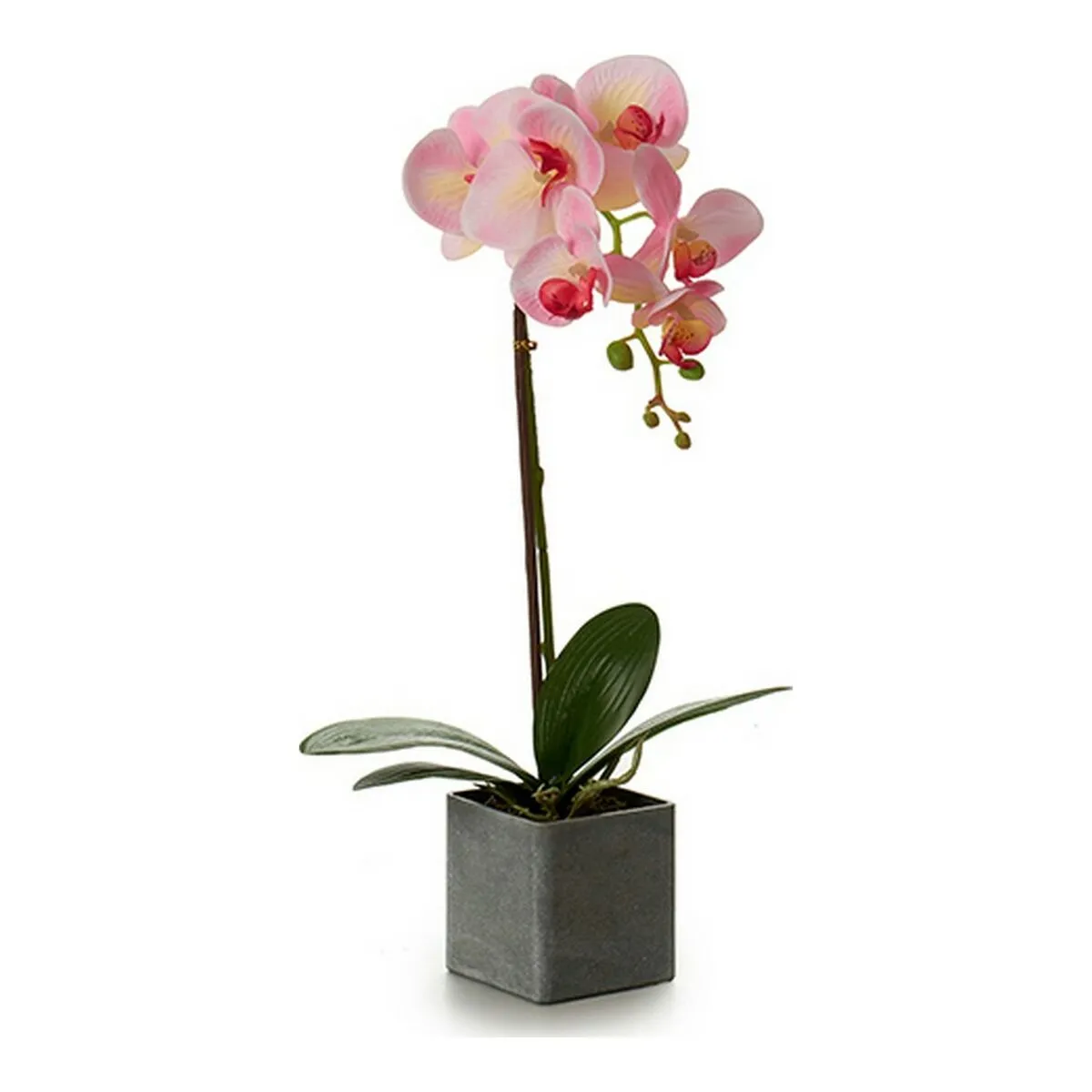 Pianta Decorativa Orchidea 15 x 43 x 18 cm Plastica