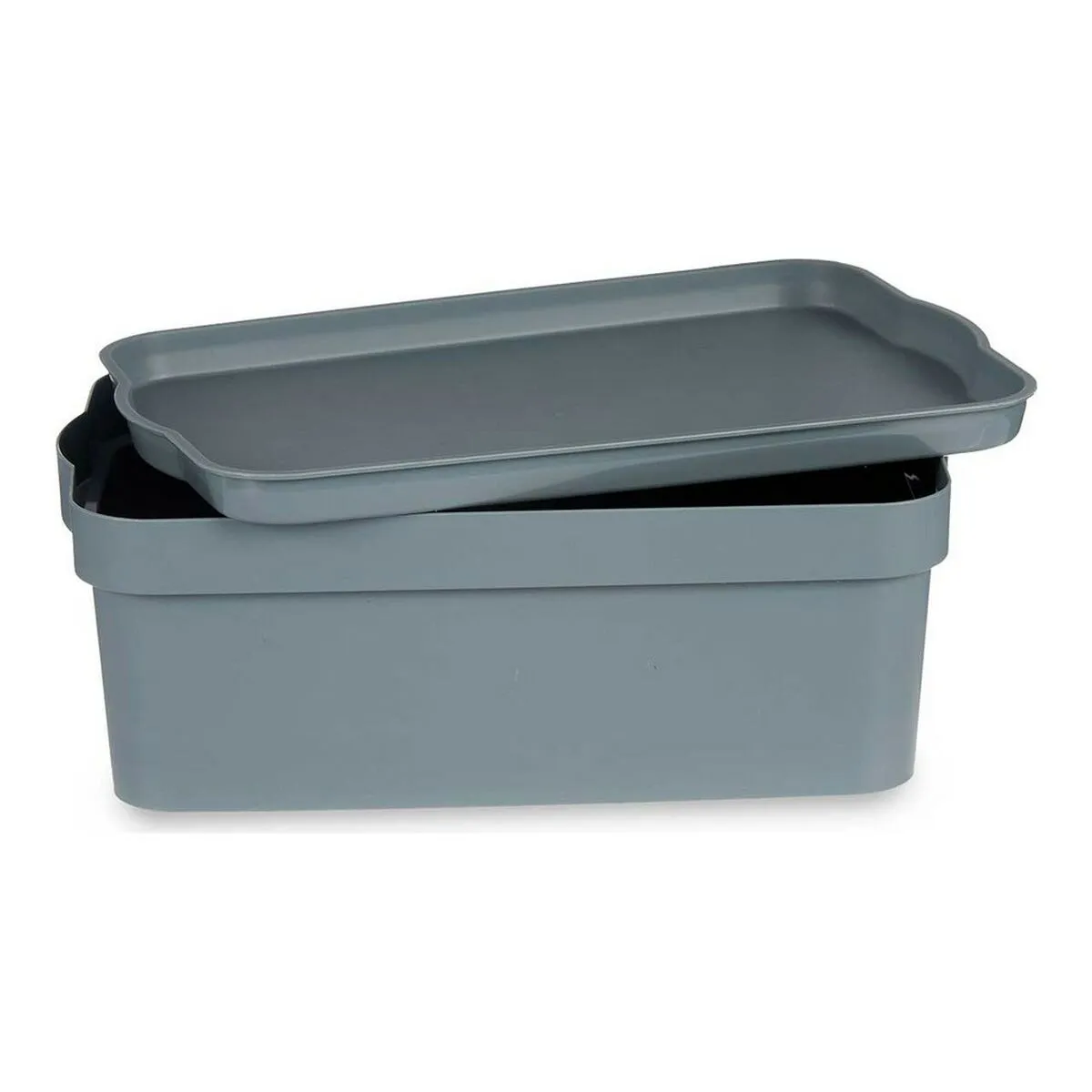 Scatola portaoggetti con coperchio 21,5 x 11 x 32 cm Grigio 6 L