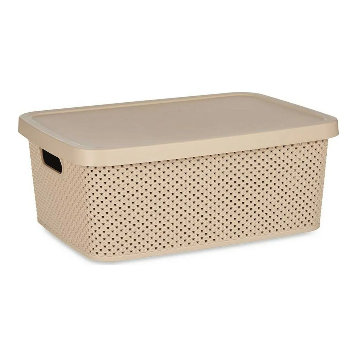 Scatola portaoggetti con coperchio Beige Plastica (28 x 15 x 39 cm)