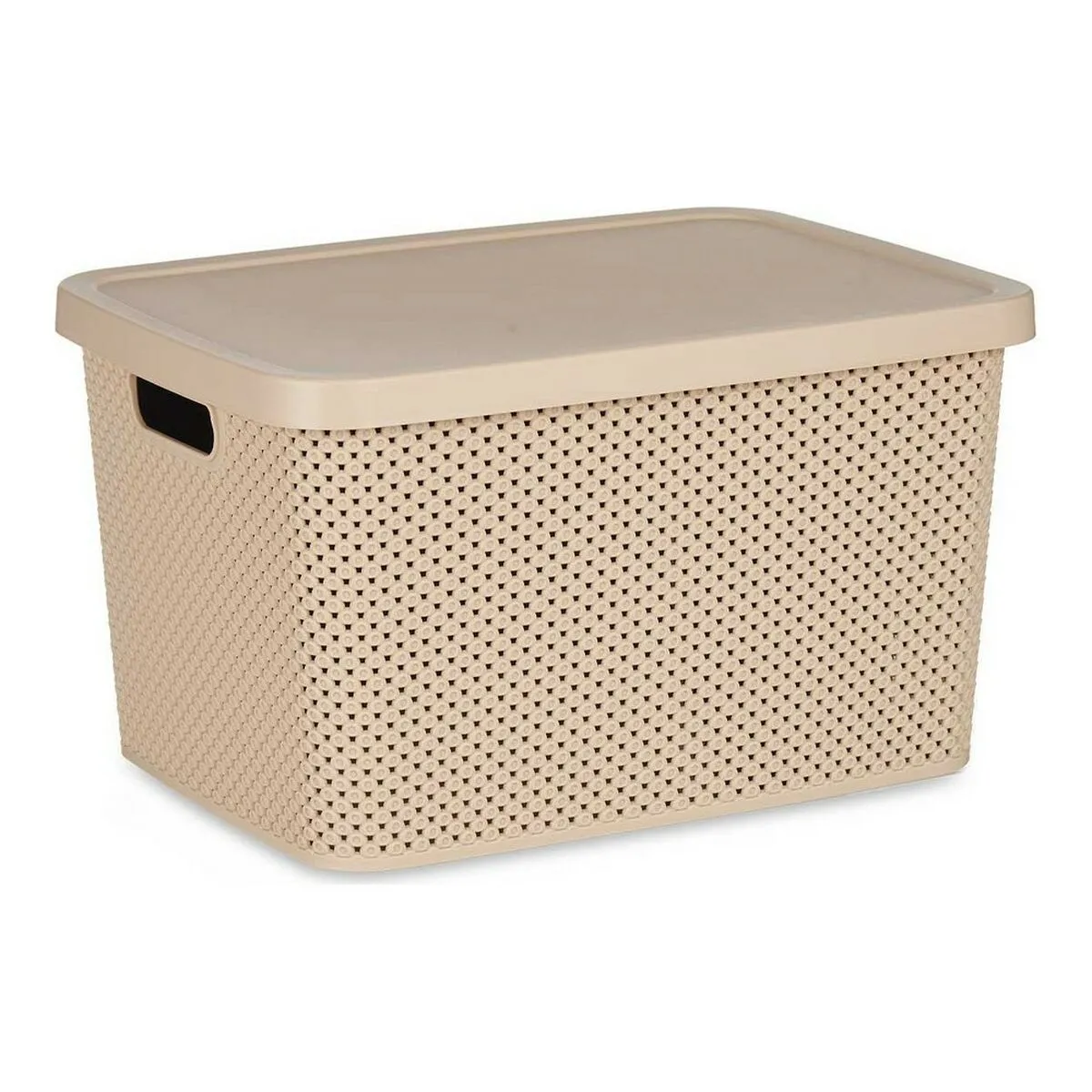 Scatola portaoggetti con coperchio Beige Plastica (28 x 22 x 39 cm)