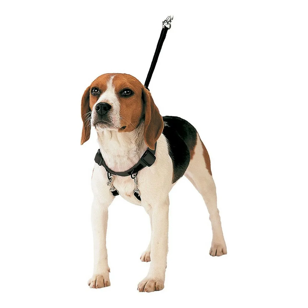 Imbracatura per Cani Gloria 40-60 cm Taglia L